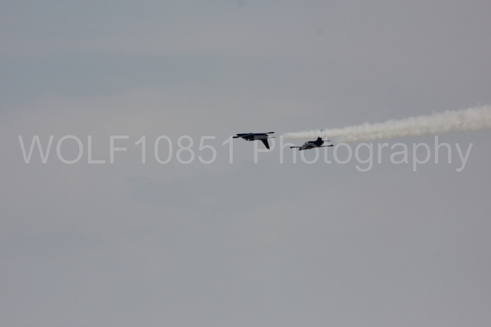 Aviation photography by WOLF10851 featuring L-39 Albatros, The Patriots Jet Demonstration Team, All Black Red lettering.