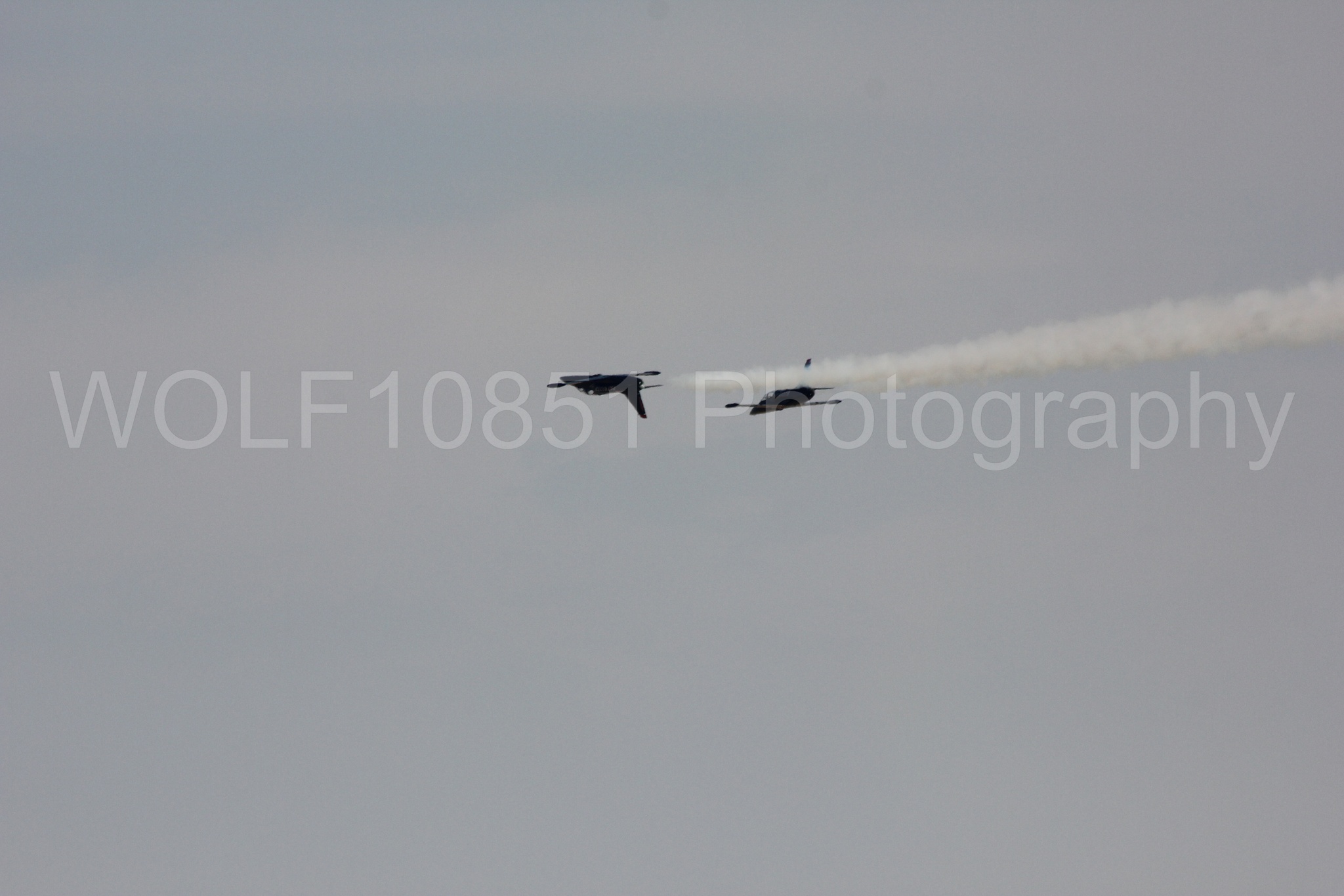 Aviation photography by WOLF10851 featuring L-39 Albatros, The Patriots Jet Demonstration Team, All Black Red lettering.