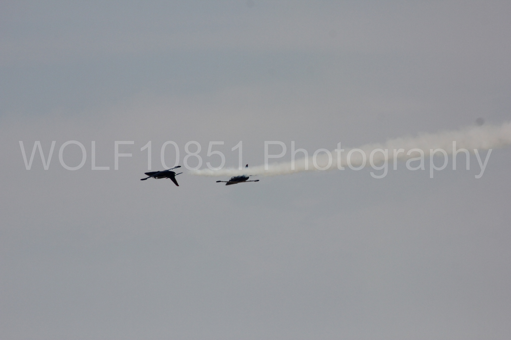 Aviation photography by WOLF10851 featuring L-39 Albatros, The Patriots Jet Demonstration Team, All Black Red lettering.