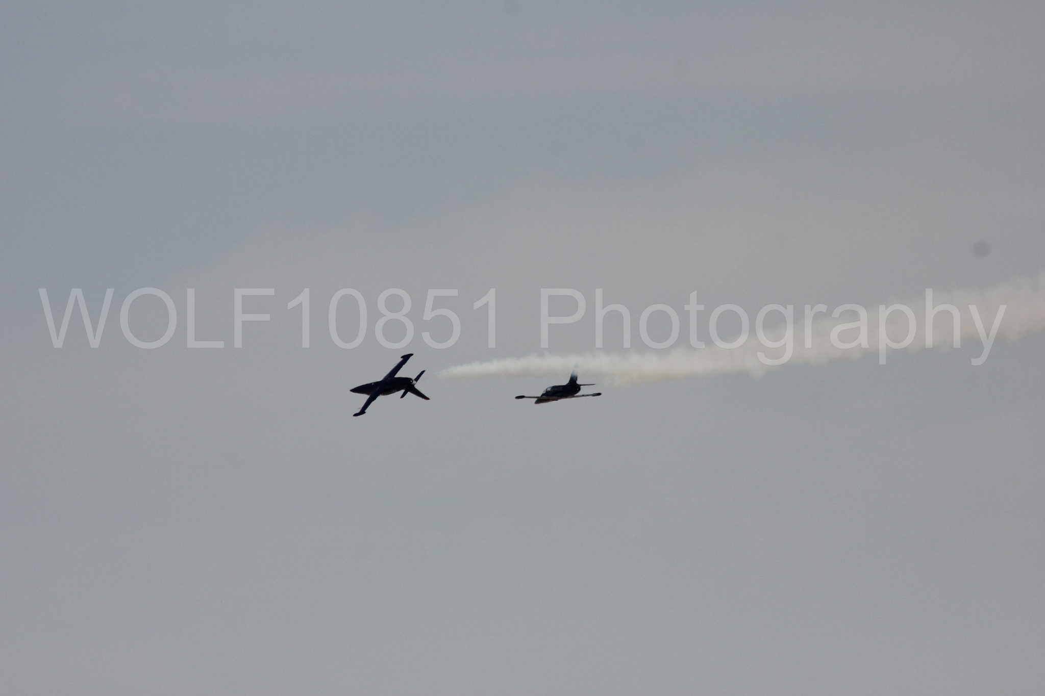 Aviation photography by WOLF10851 featuring L-39 Albatros, The Patriots Jet Demonstration Team, All Black Red lettering.