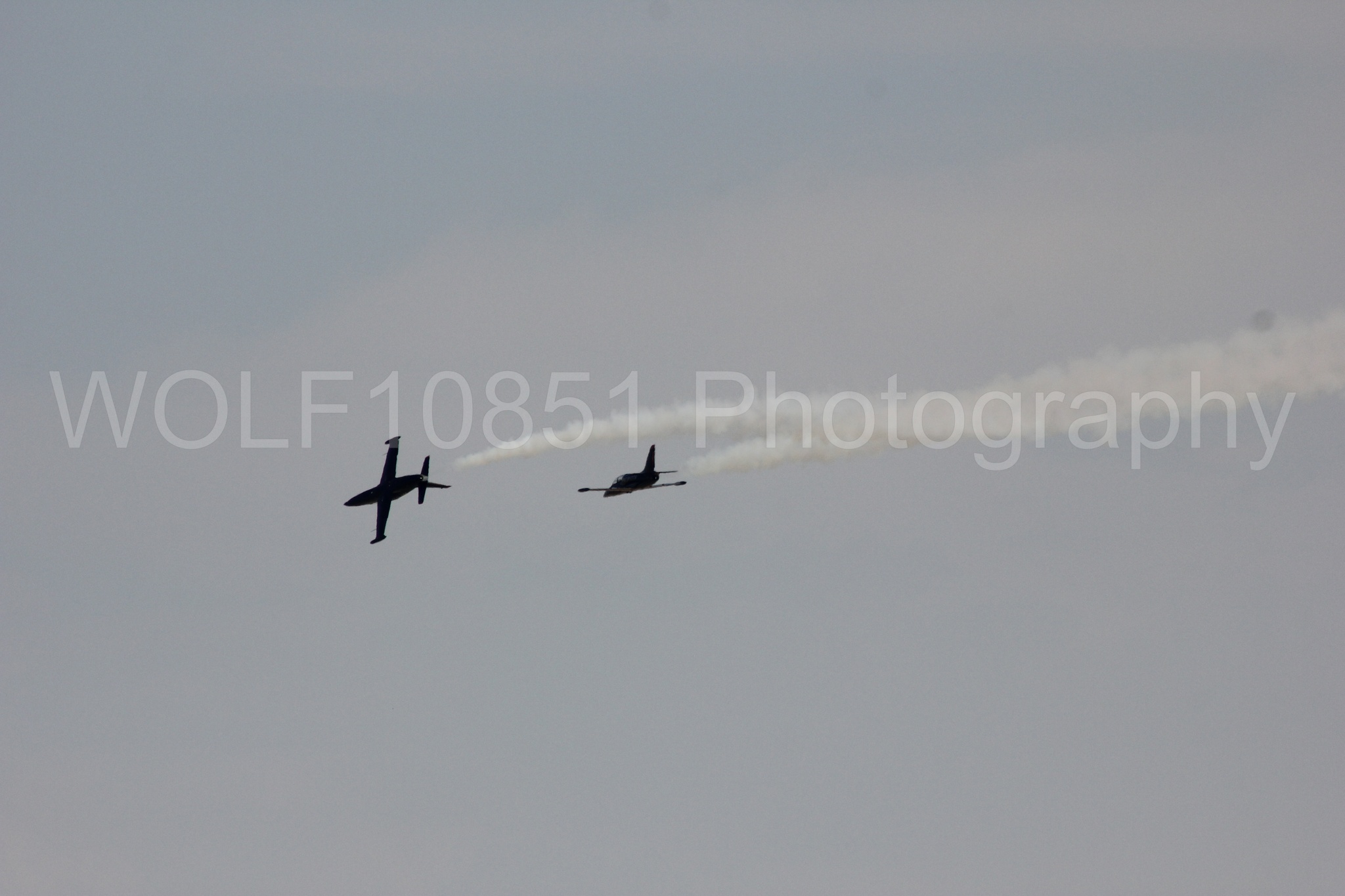Aviation photography by WOLF10851 featuring L-39 Albatros, The Patriots Jet Demonstration Team, All Black Red lettering.