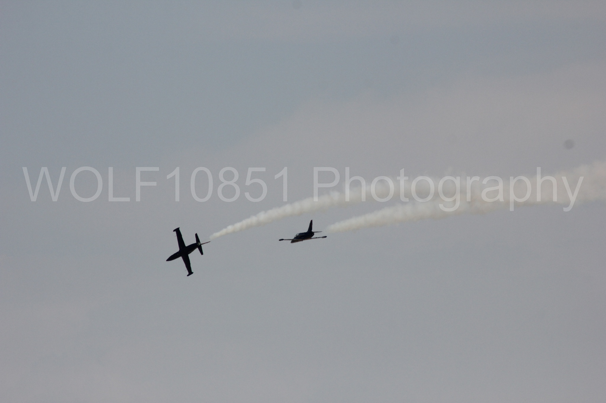 Aviation photography by WOLF10851 featuring L-39 Albatros, The Patriots Jet Demonstration Team, All Black Red lettering.