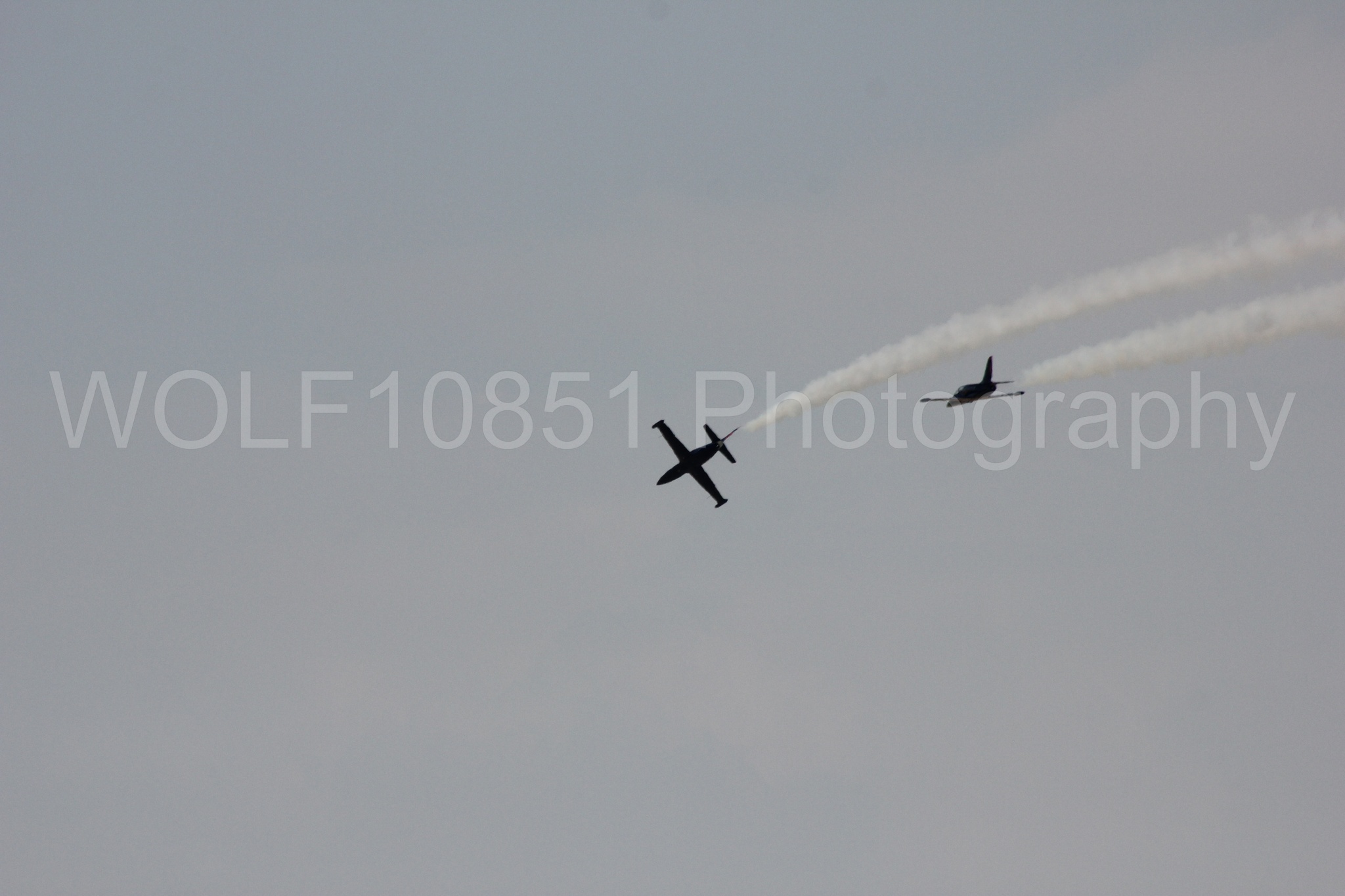 Aviation photography by WOLF10851 featuring L-39 Albatros, The Patriots Jet Demonstration Team, All Black Red lettering.