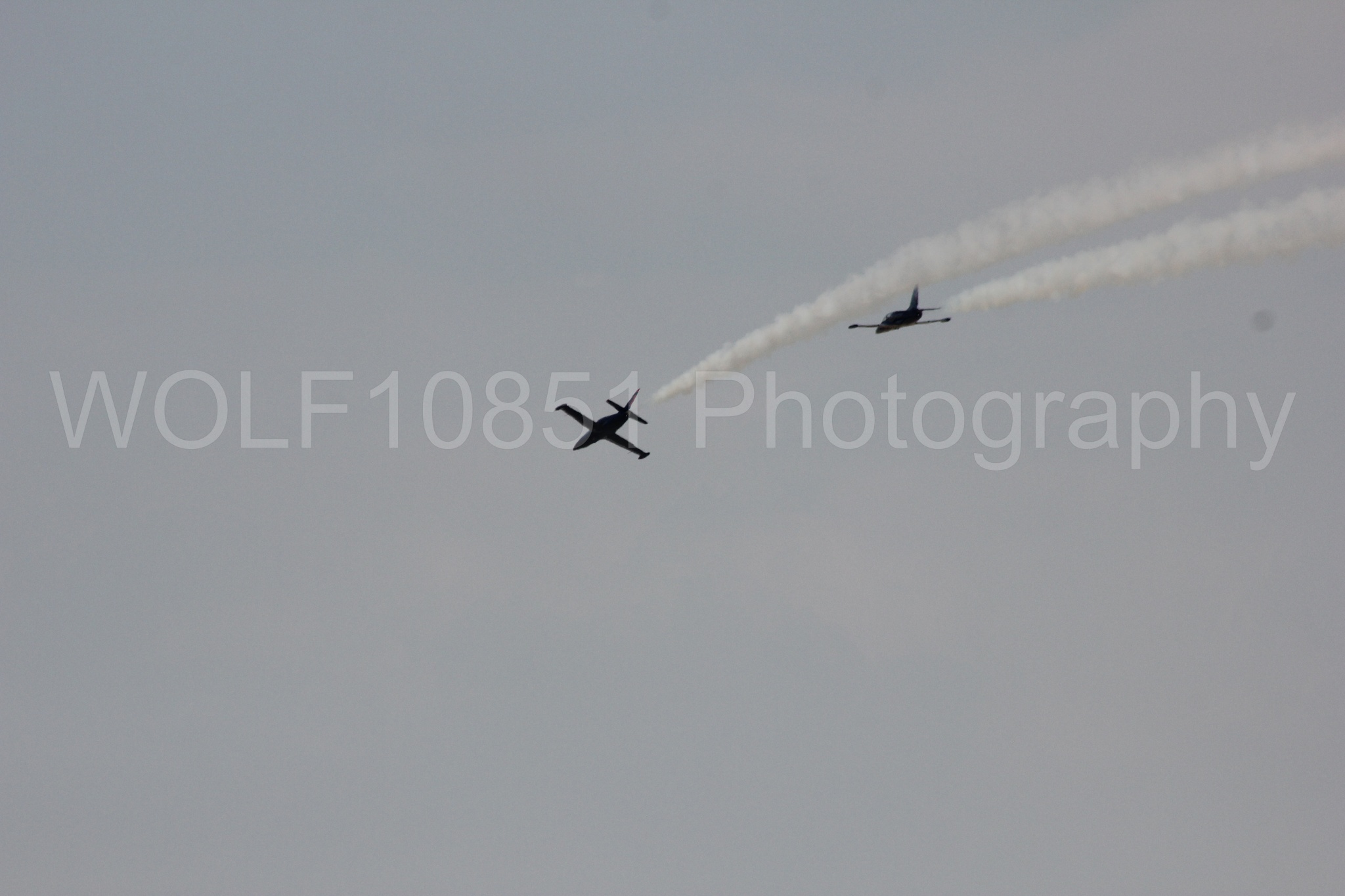 Aviation photography by WOLF10851 featuring L-39 Albatros, The Patriots Jet Demonstration Team, All Black Red lettering.