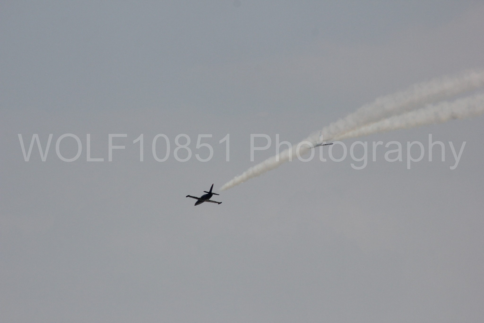 Aviation photography by WOLF10851 featuring L-39 Albatros, The Patriots Jet Demonstration Team, All Black Red lettering.