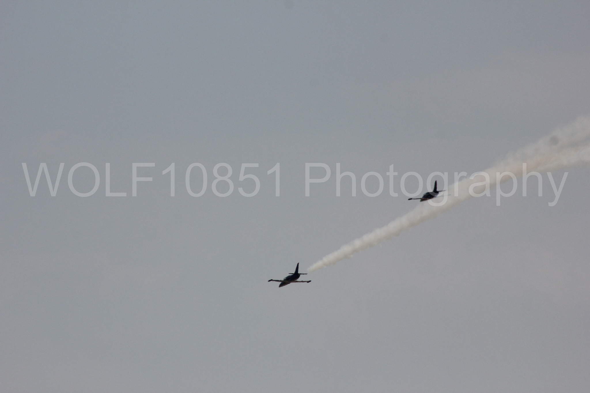 Aviation photography by WOLF10851 featuring L-39 Albatros, The Patriots Jet Demonstration Team, All Black Red lettering.