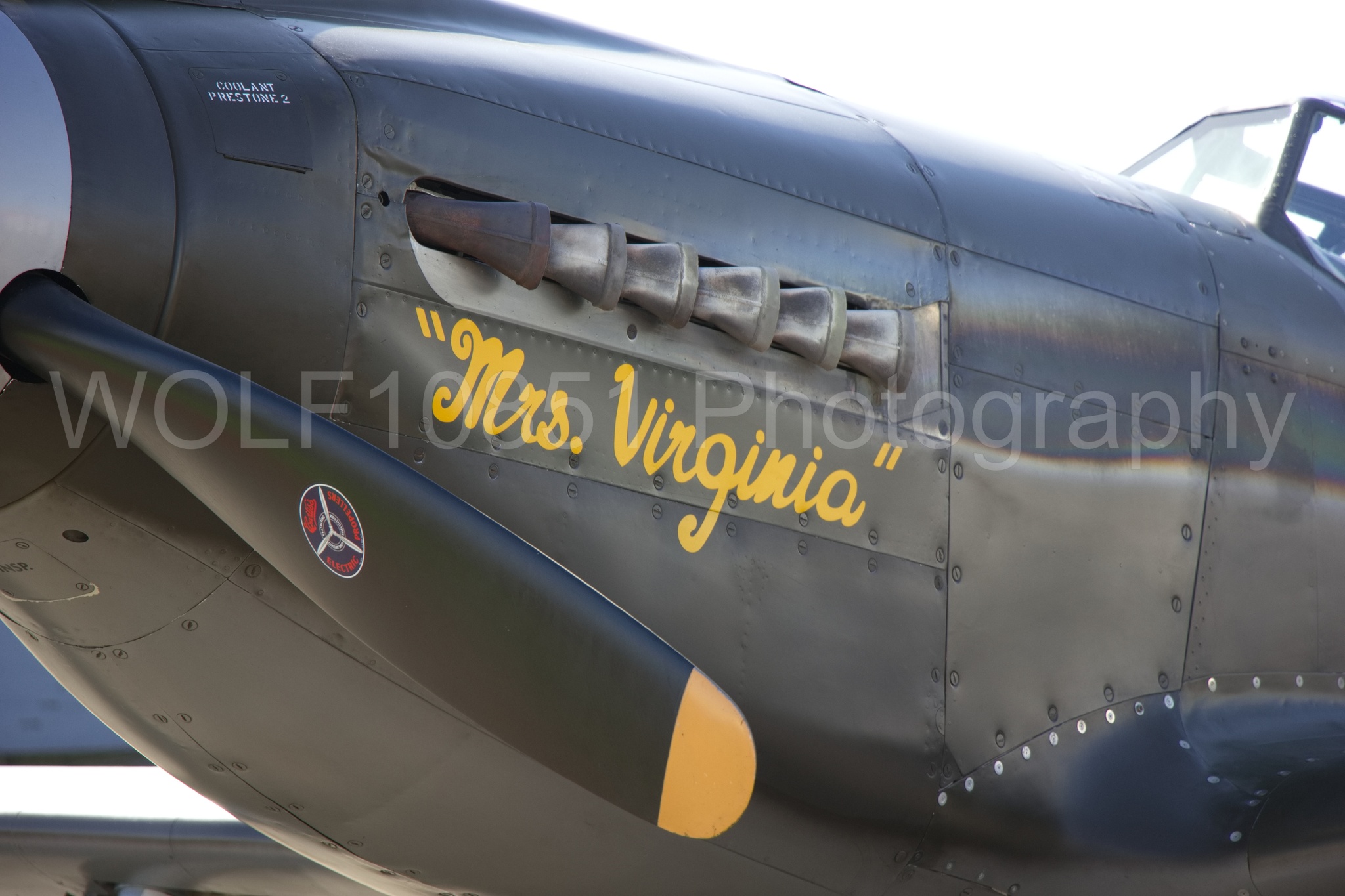 Aviation photography by WOLF10851 featuring Static Display, P-51 Mustang, California Capital Airshow 2018, Mrs Virginia.