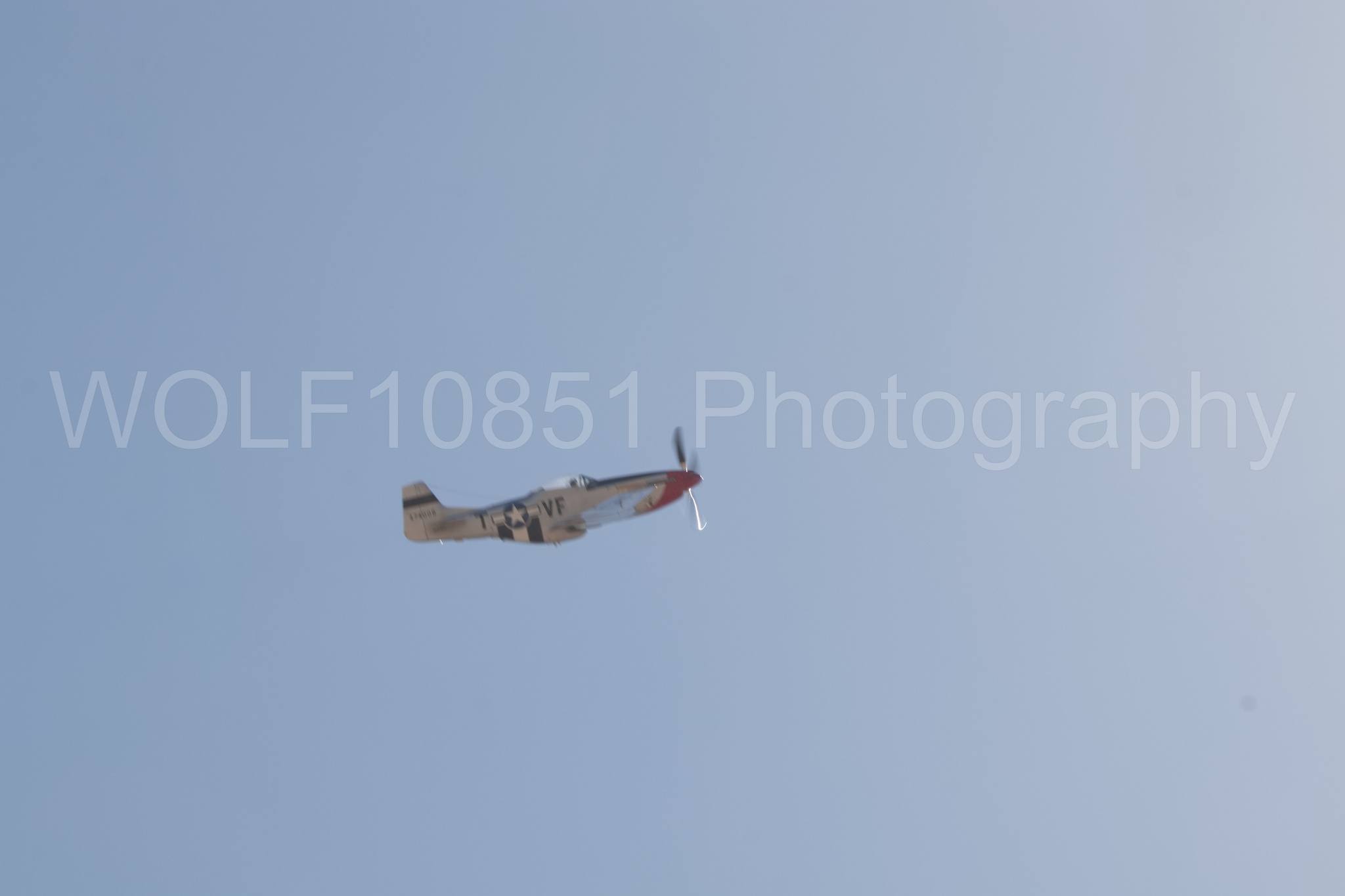 Aviation photography by WOLF10851 featuring P-51 Mustang, Comfortably Numb, California Capital Airshow 2018.