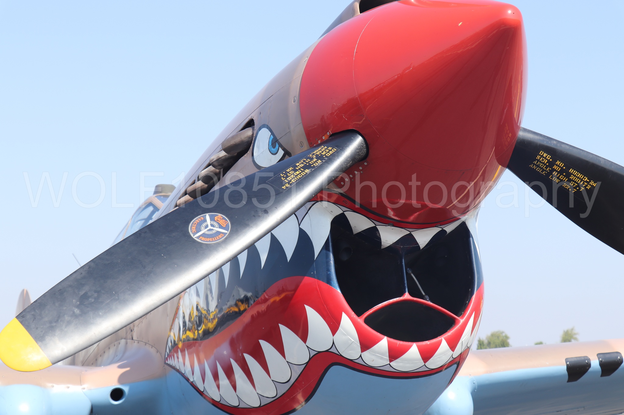Aviation photography by WOLF10851 featuring Static Display, Curtis P-40 Warhawk, California Capital Airshow 2023.