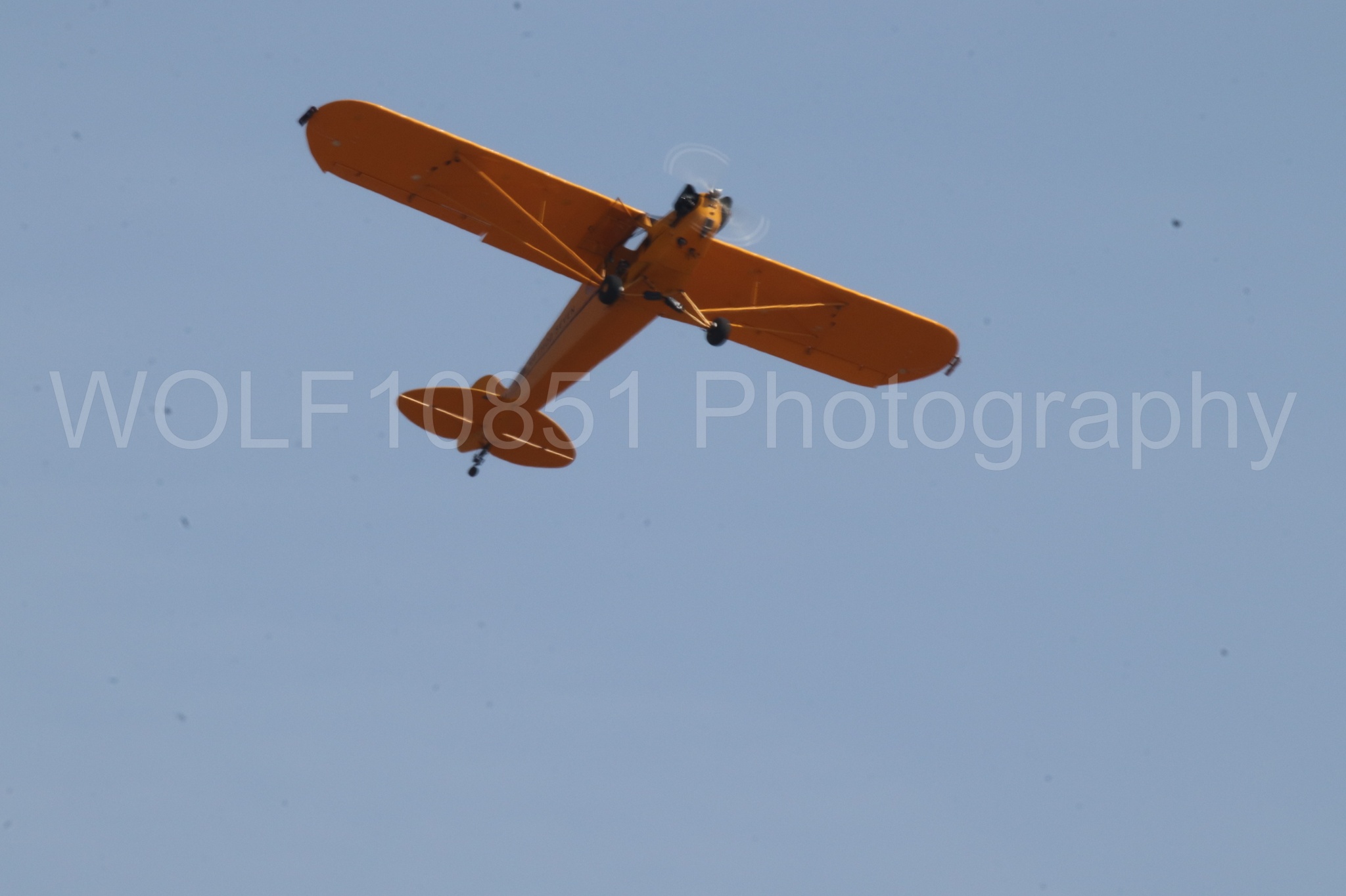 Aviation photography by WOLF10851 featuring Piper J-3 Cub, Tucker Air Patrol, California Capital Airshow 2023.