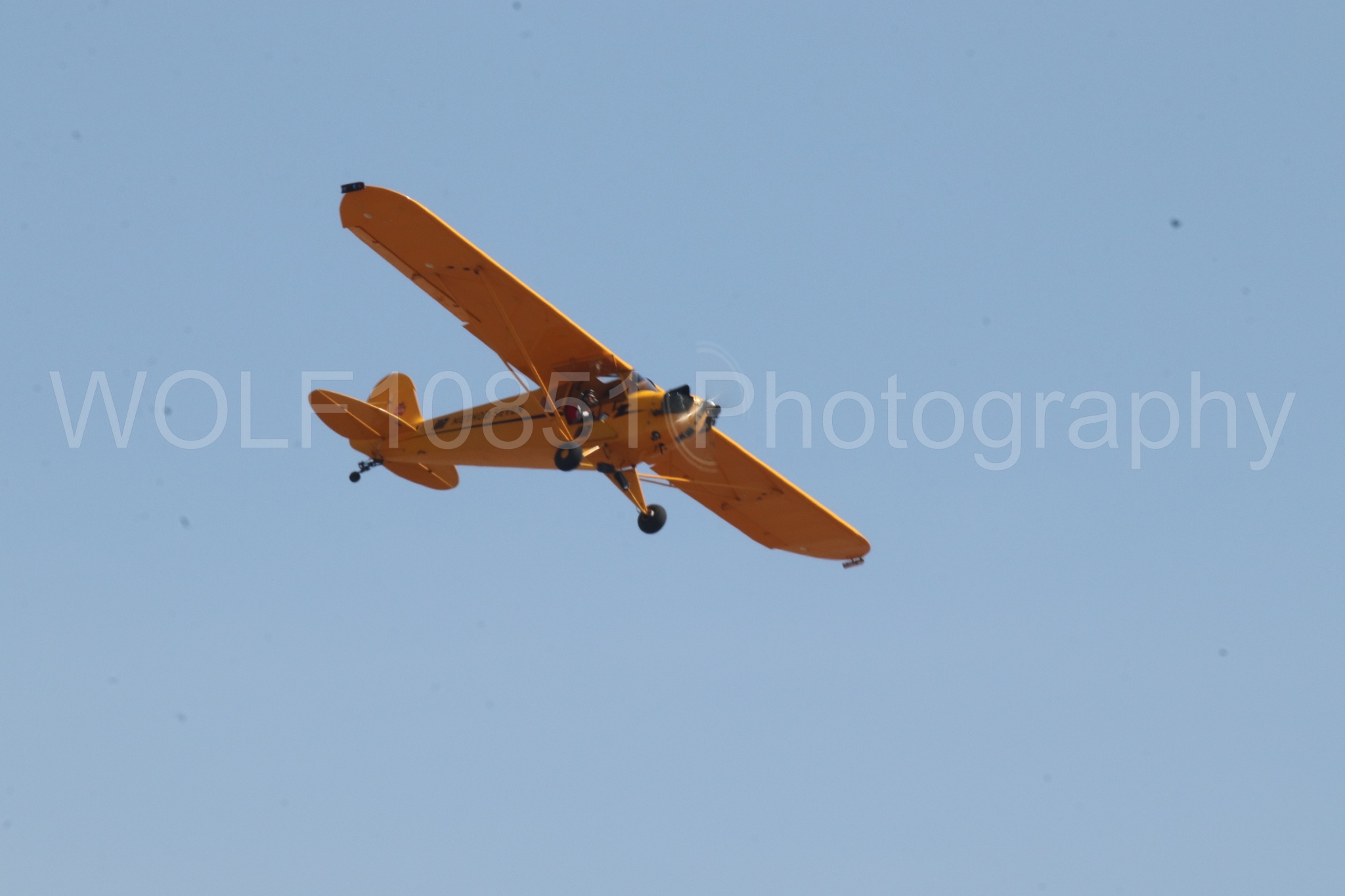 Aviation photography by WOLF10851 featuring Piper J-3 Cub, Tucker Air Patrol, California Capital Airshow 2023.