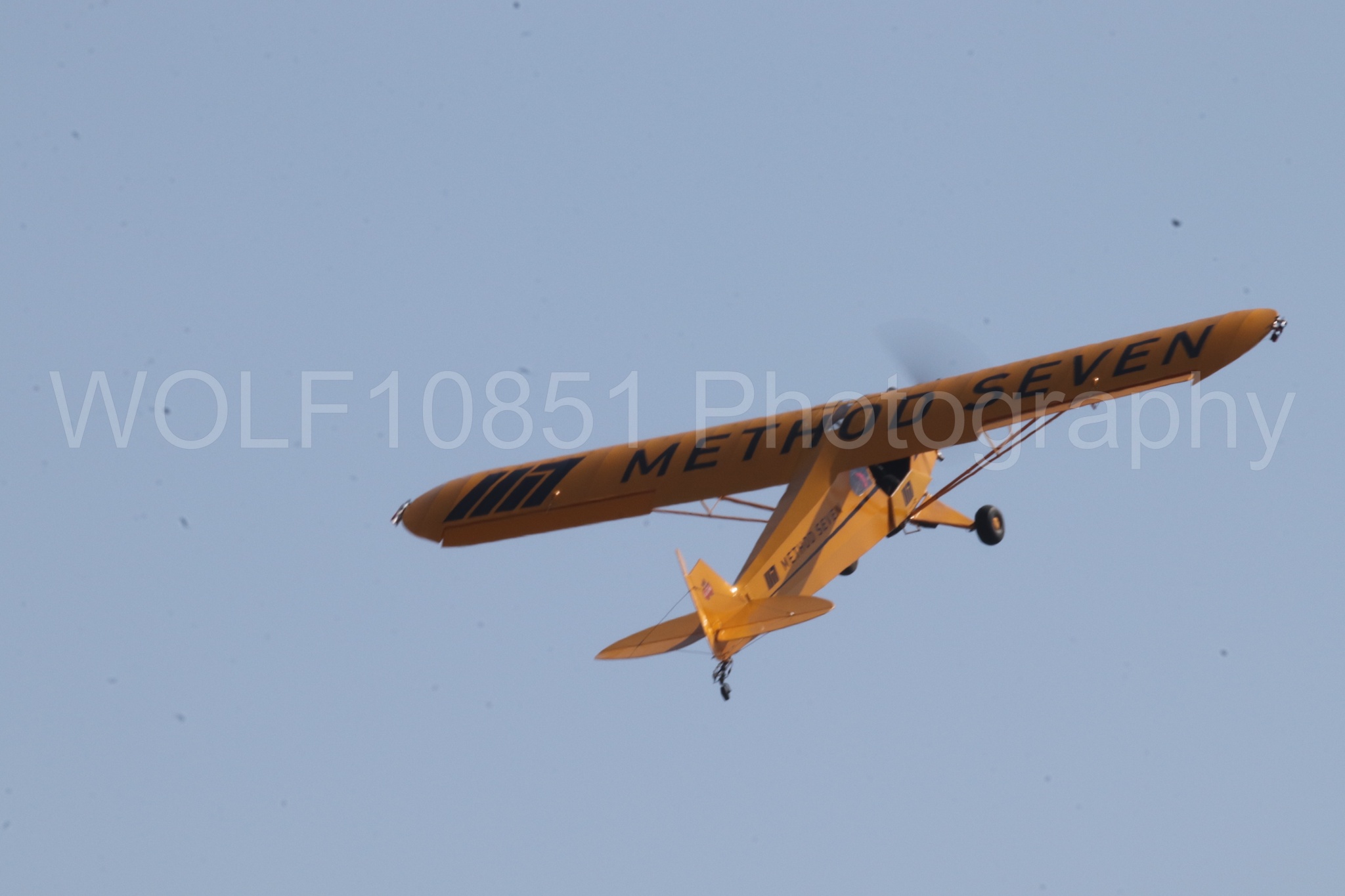 Aviation photography by WOLF10851 featuring Piper J-3 Cub, Tucker Air Patrol, California Capital Airshow 2023.