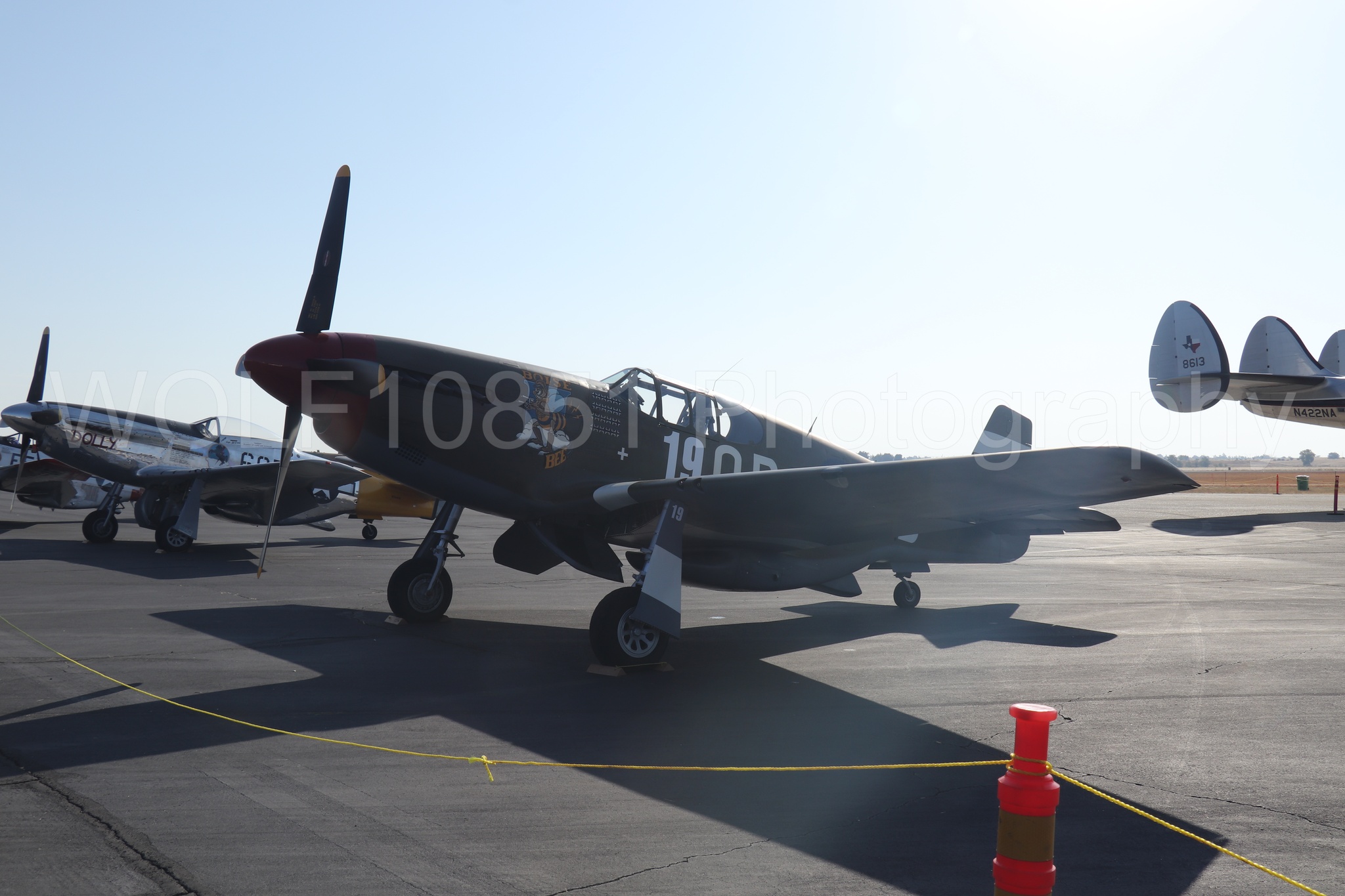 Aviation photography by WOLF10851 featuring Static Display, P-51 Mustang, California Capital Airshow 2023, Boise Bee.