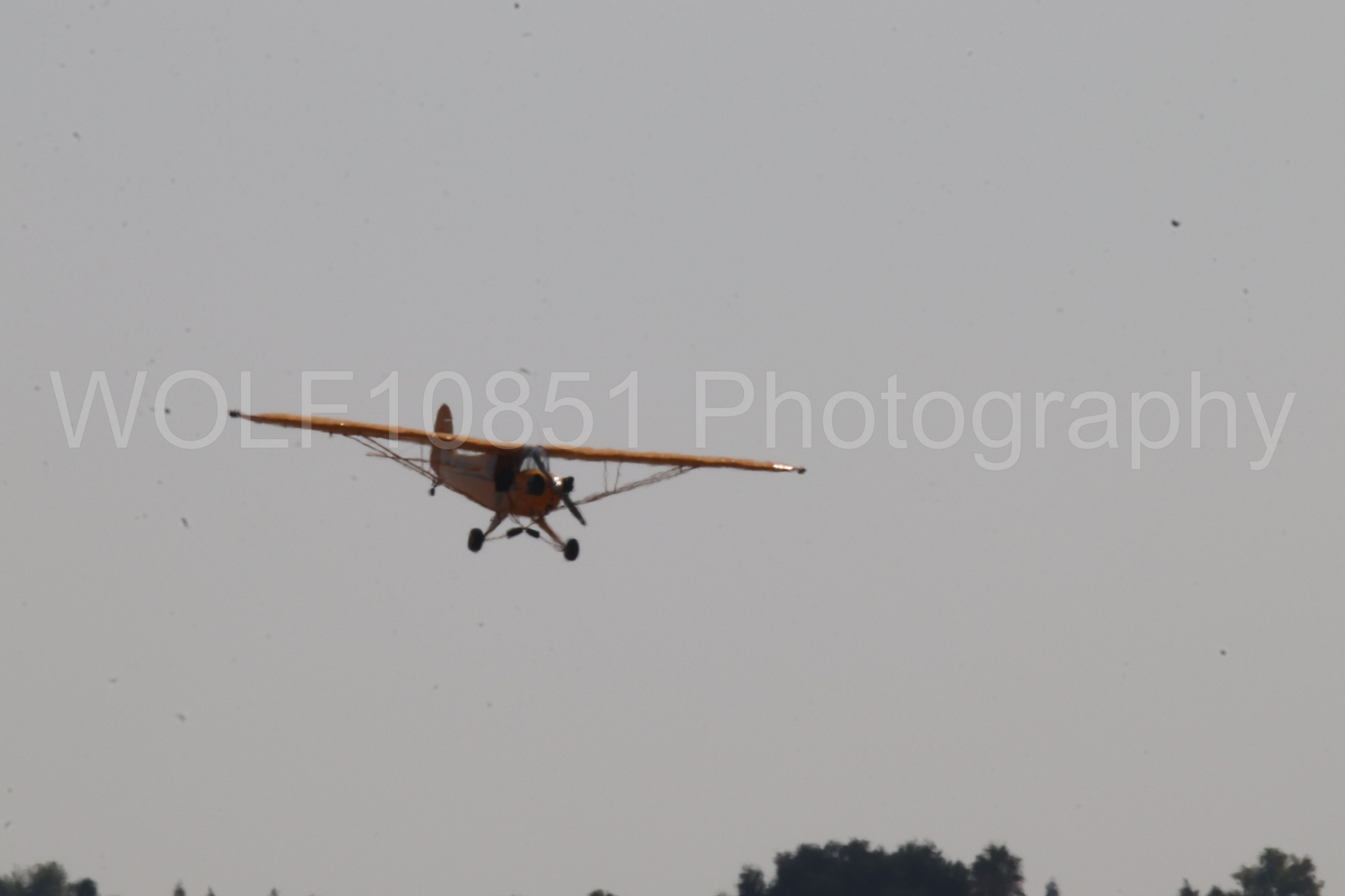 Aviation photography by WOLF10851 featuring Piper J-3 Cub, Tucker Air Patrol, California Capital Airshow 2023.