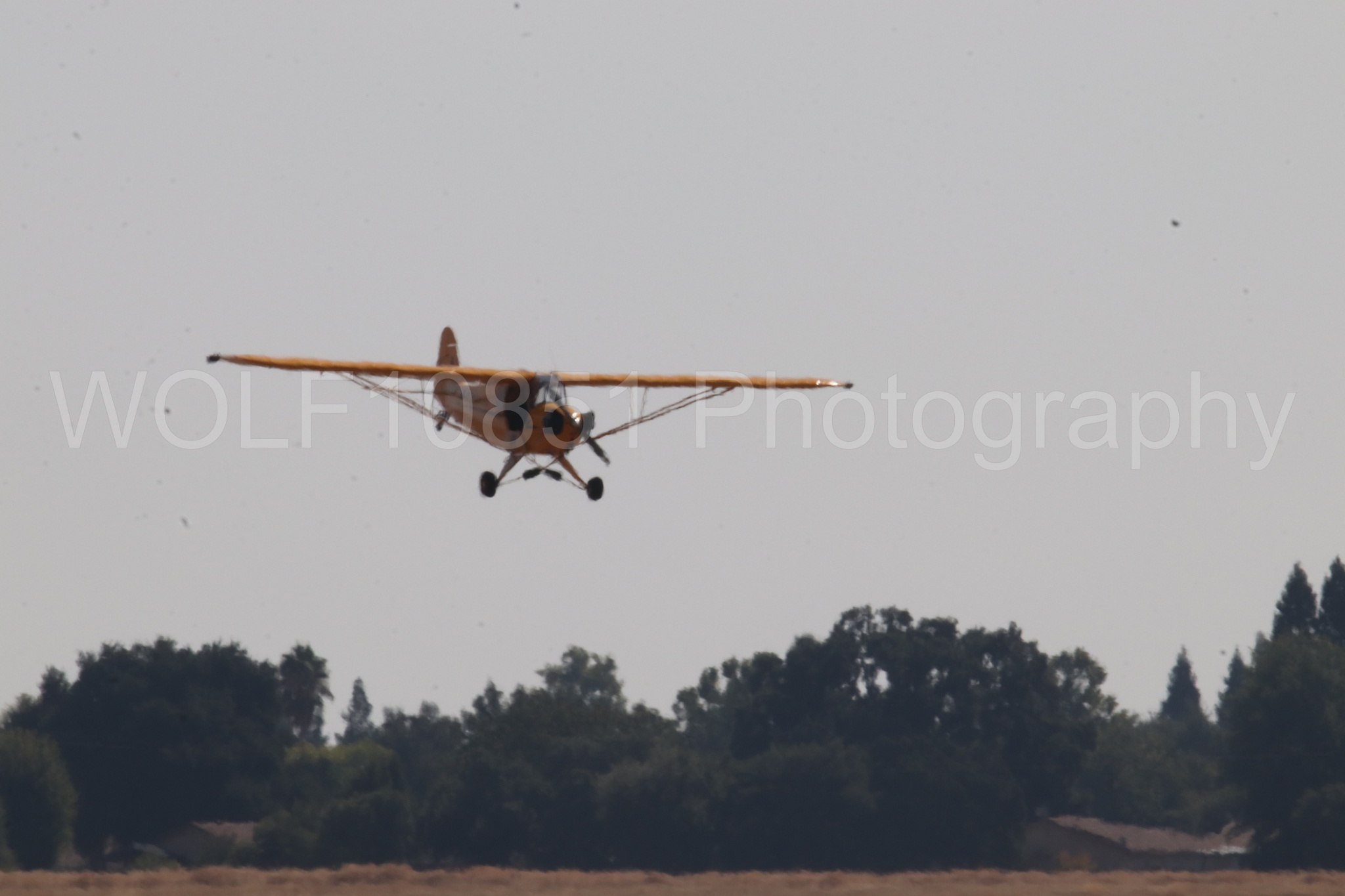Aviation photography by WOLF10851 featuring Piper J-3 Cub, Tucker Air Patrol, California Capital Airshow 2023.