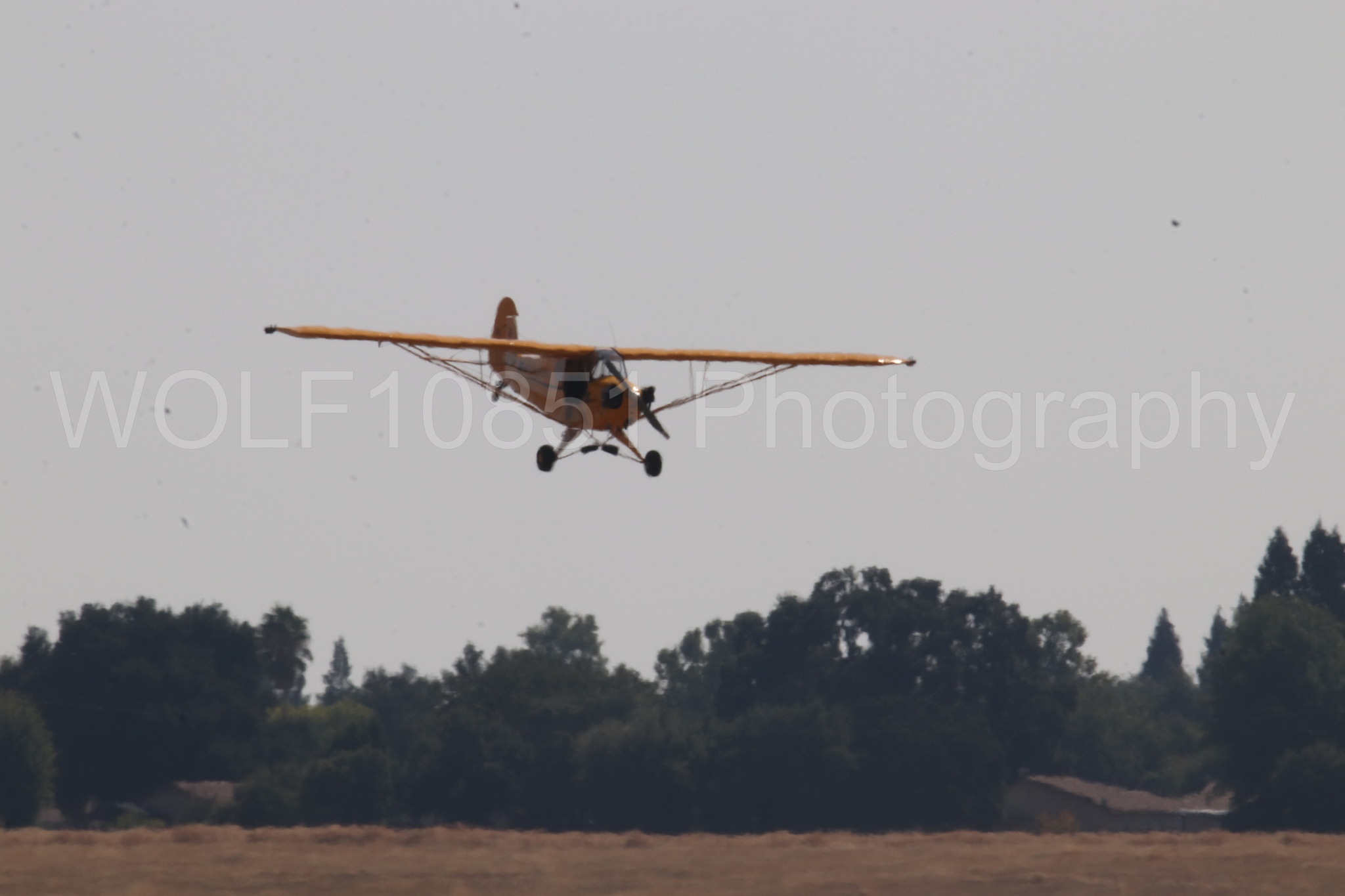 Aviation photography by WOLF10851 featuring Piper J-3 Cub, Tucker Air Patrol, California Capital Airshow 2023.