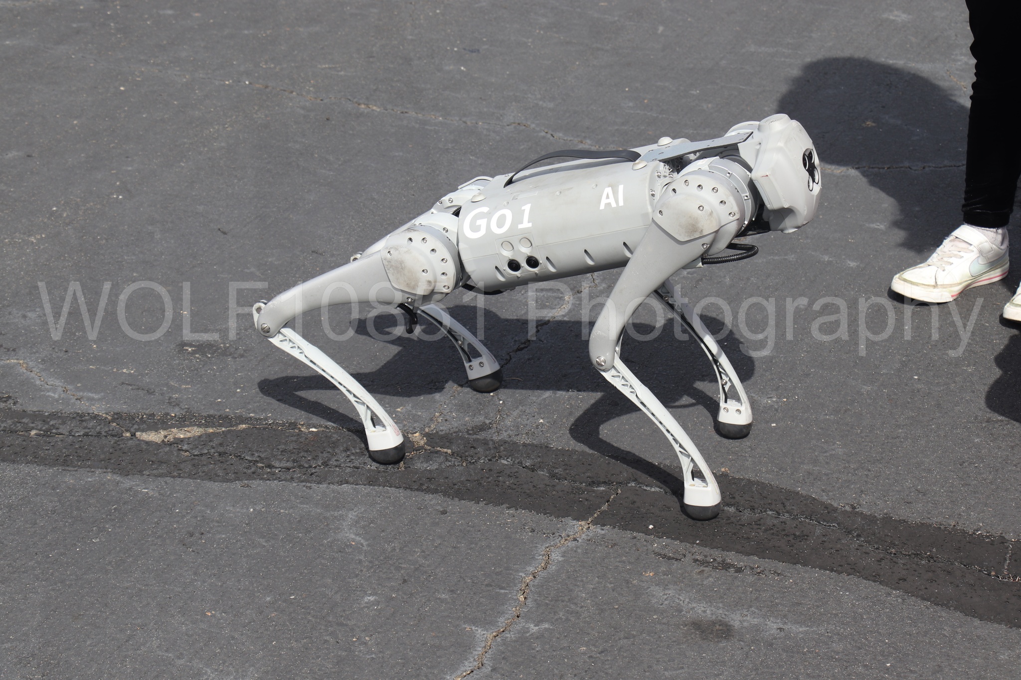 Aviation photography by WOLF10851 featuring Static Display, California Capital Airshow 2025, Go1 AI.