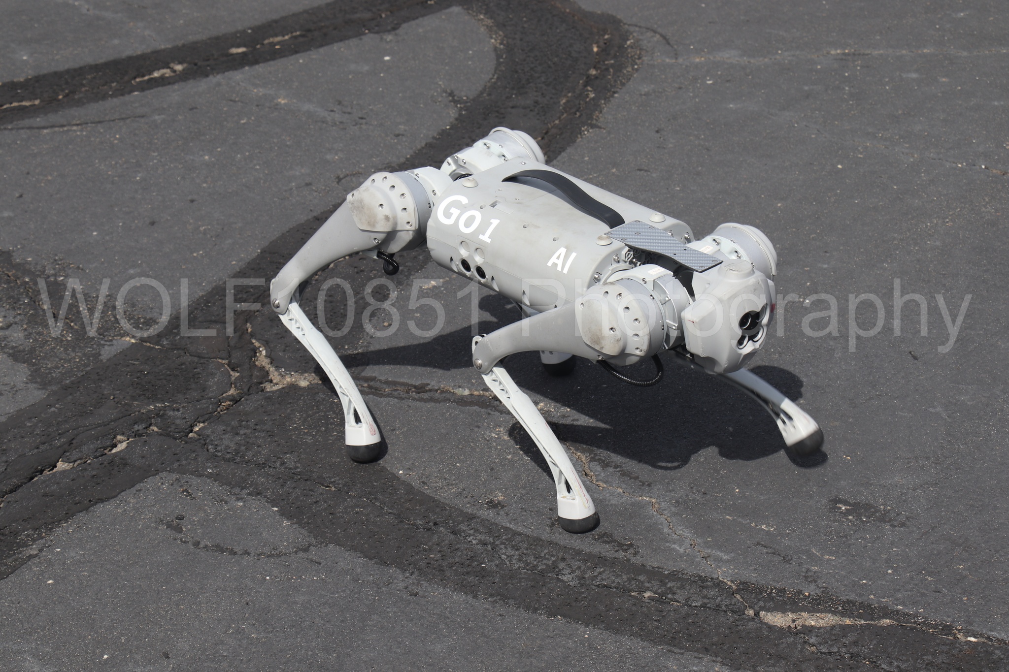 Aviation photography by WOLF10851 featuring Static Display, California Capital Airshow 2025, Go1 AI.