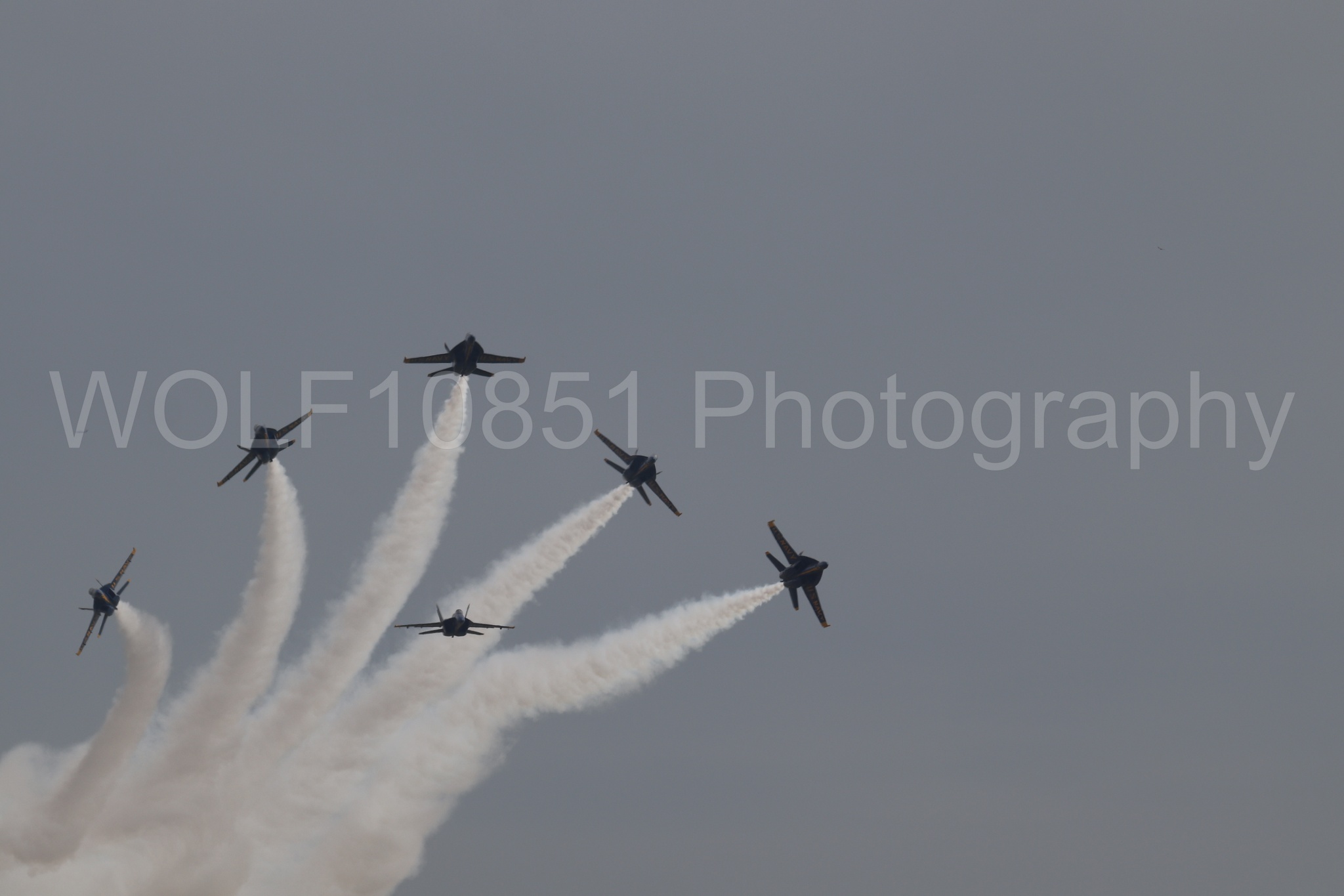 Aviation photography by WOLF10851 featuring FA-18 Super Hornet, Blue Angels, Blue and Gold.