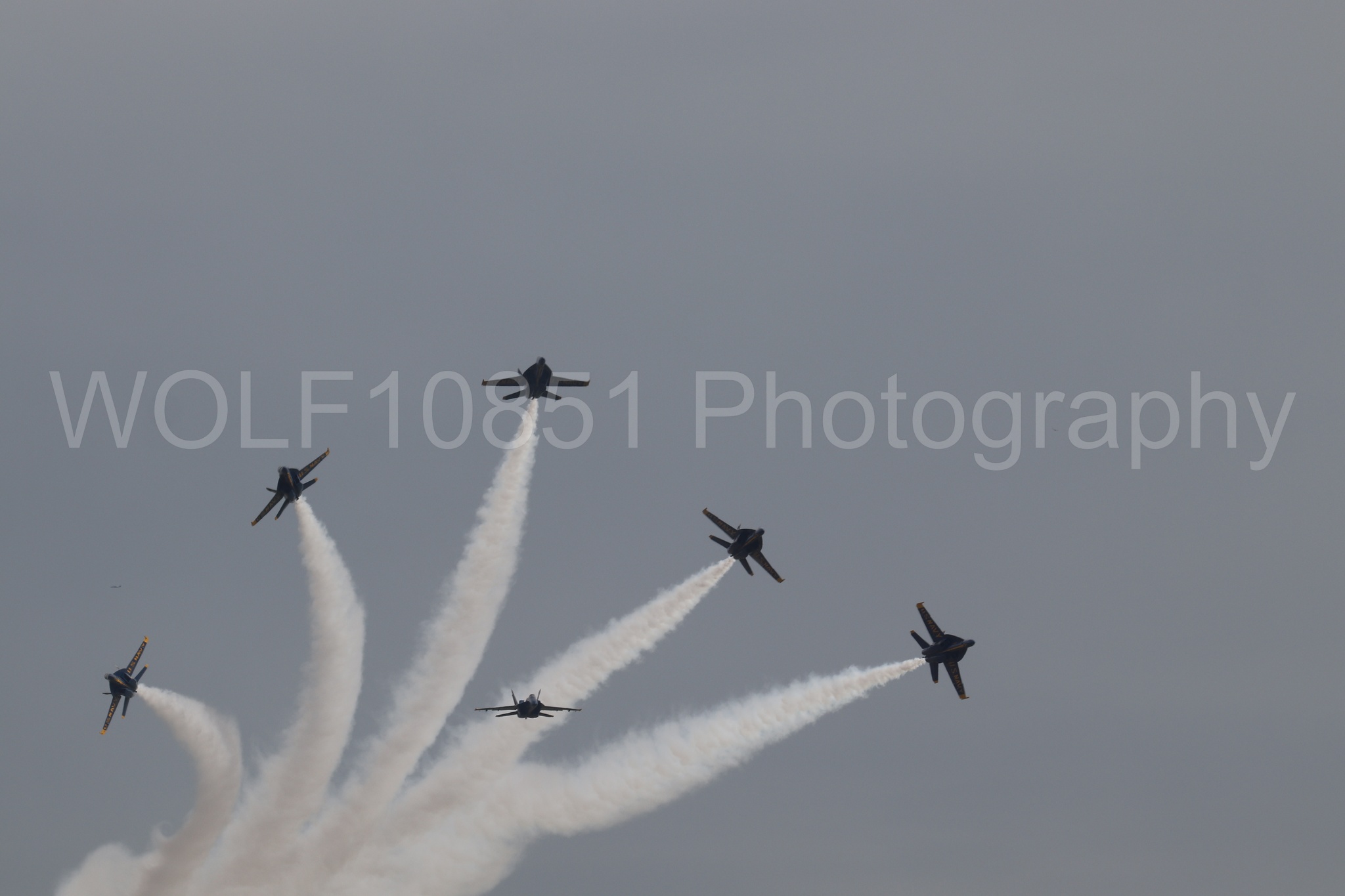 Aviation photography by WOLF10851 featuring FA-18 Super Hornet, Blue Angels, Blue and Gold.