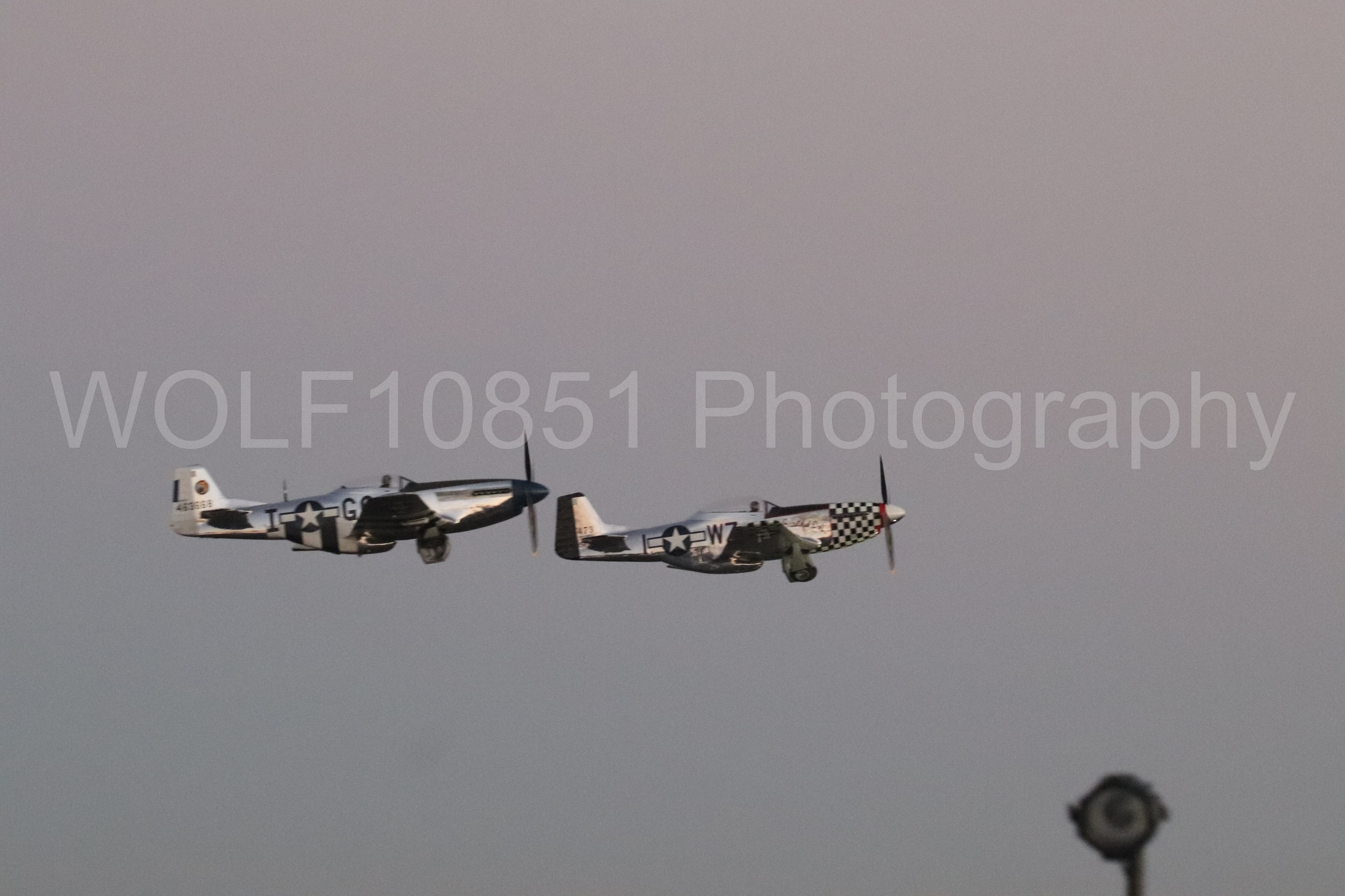 P-51 Mustang | Live Bait | WOLF10851 Photography