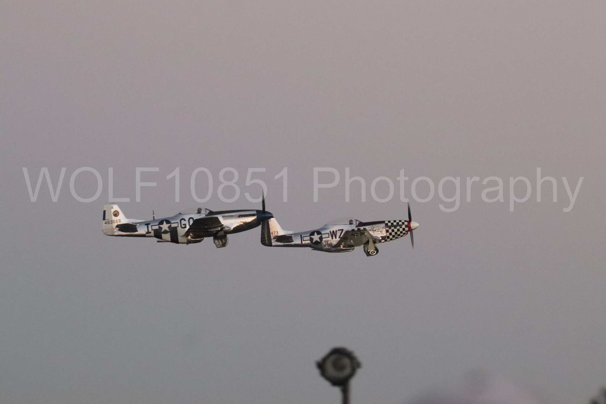 P-51 Mustang | Live Bait | WOLF10851 Photography