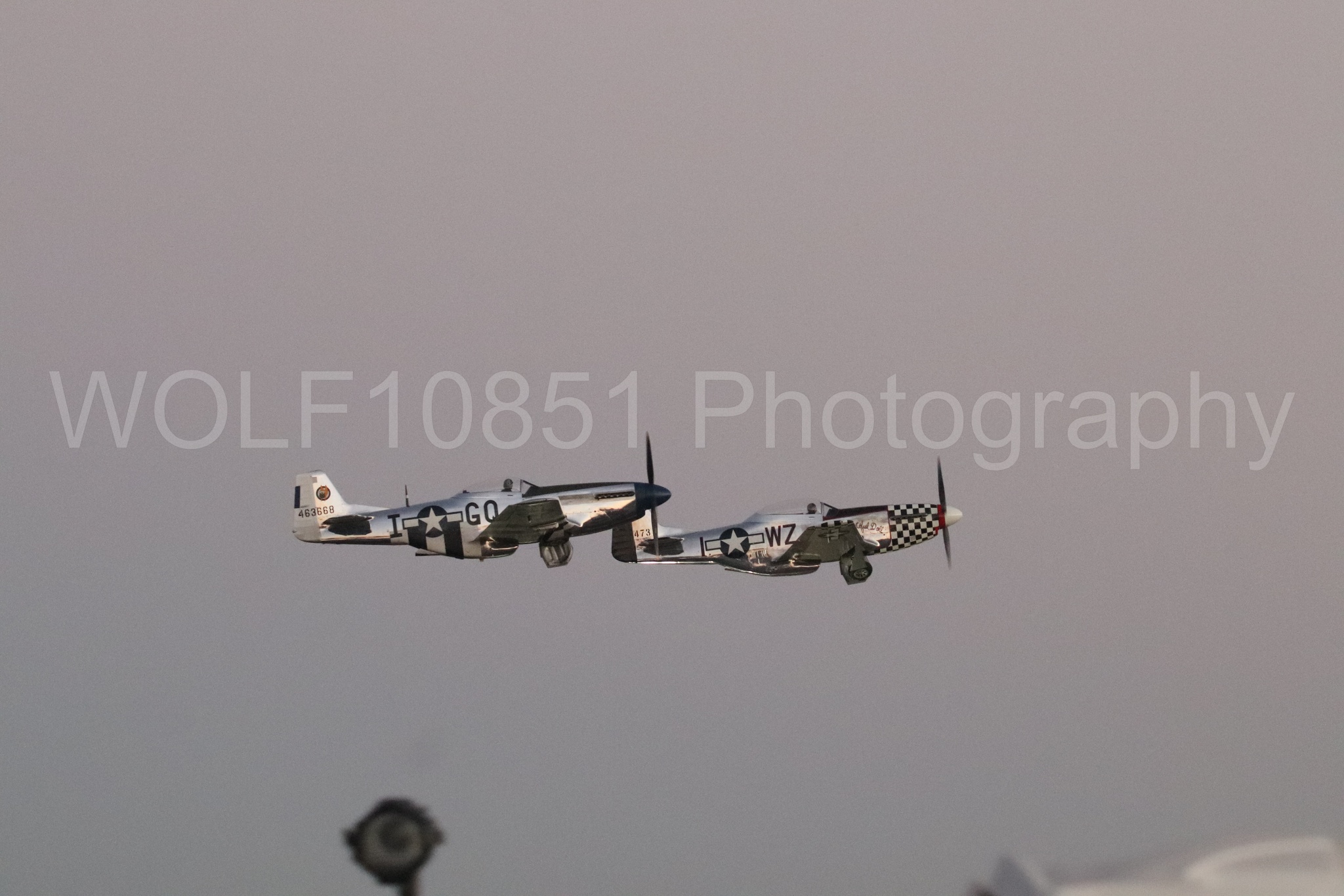 P-51 Mustang | Live Bait | WOLF10851 Photography