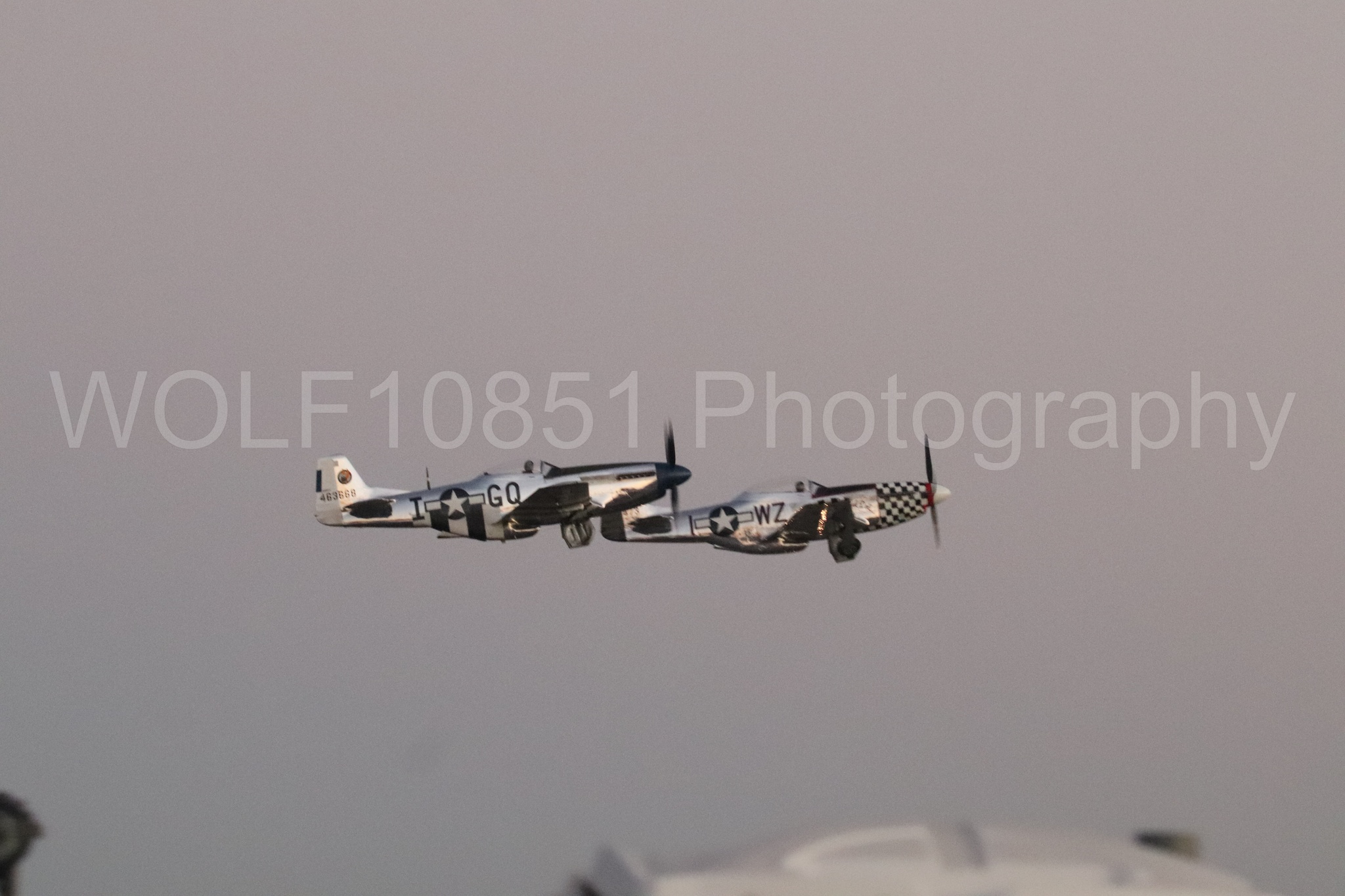 P-51 Mustang | Live Bait | WOLF10851 Photography