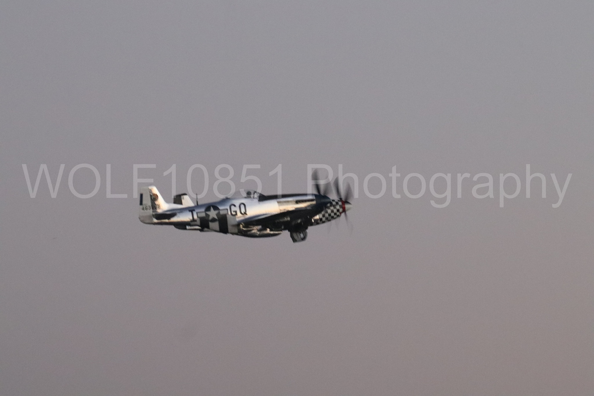P-51 Mustang | Live Bait | WOLF10851 Photography