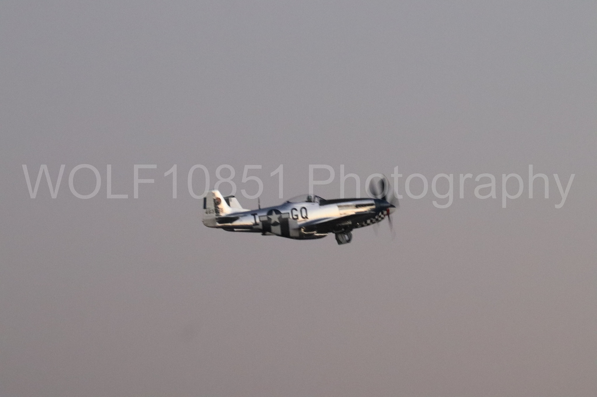 P-51 Mustang | Live Bait | WOLF10851 Photography