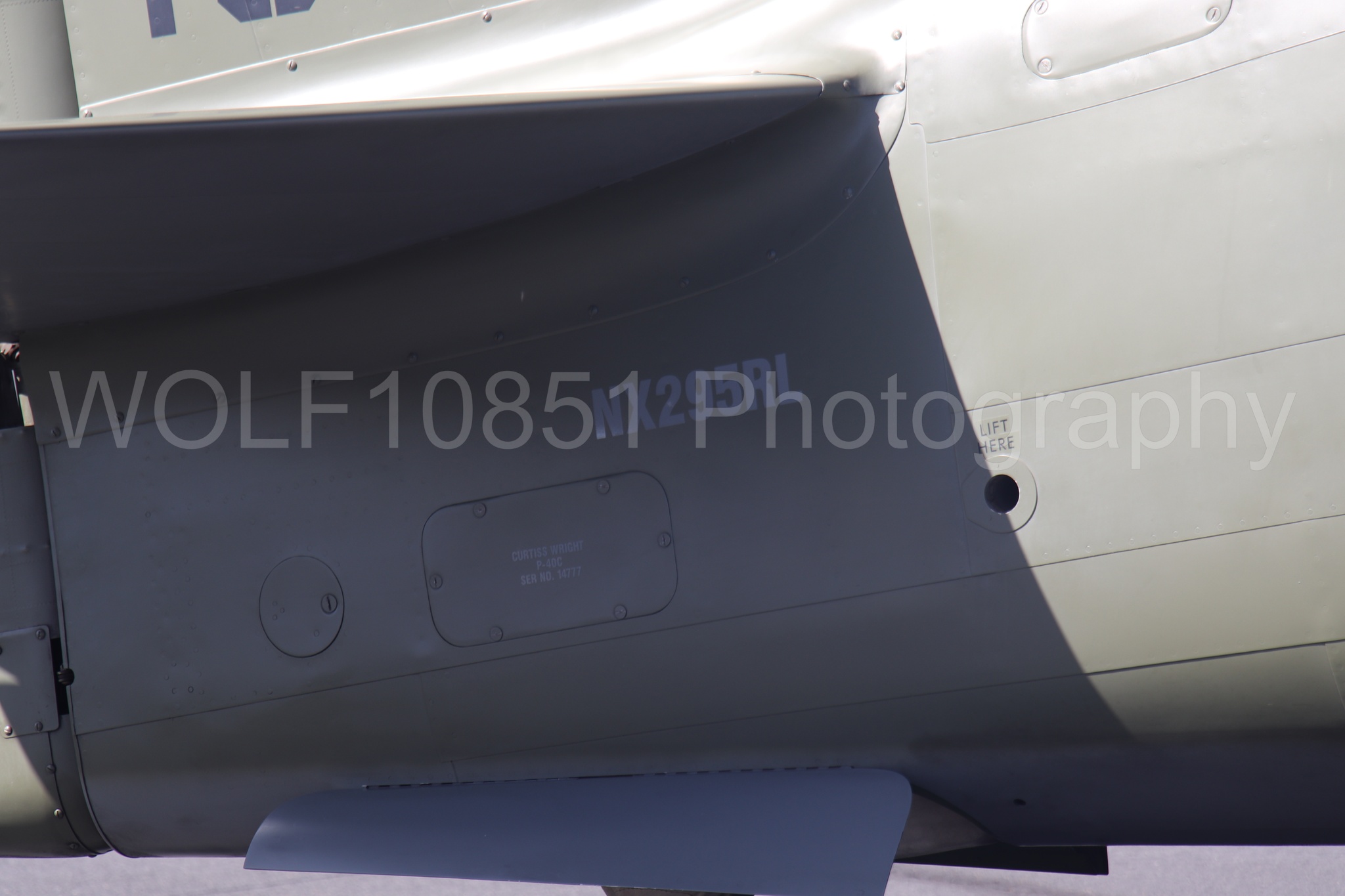 Curtis P-40 Warhawk | WOLF10851 Photography
