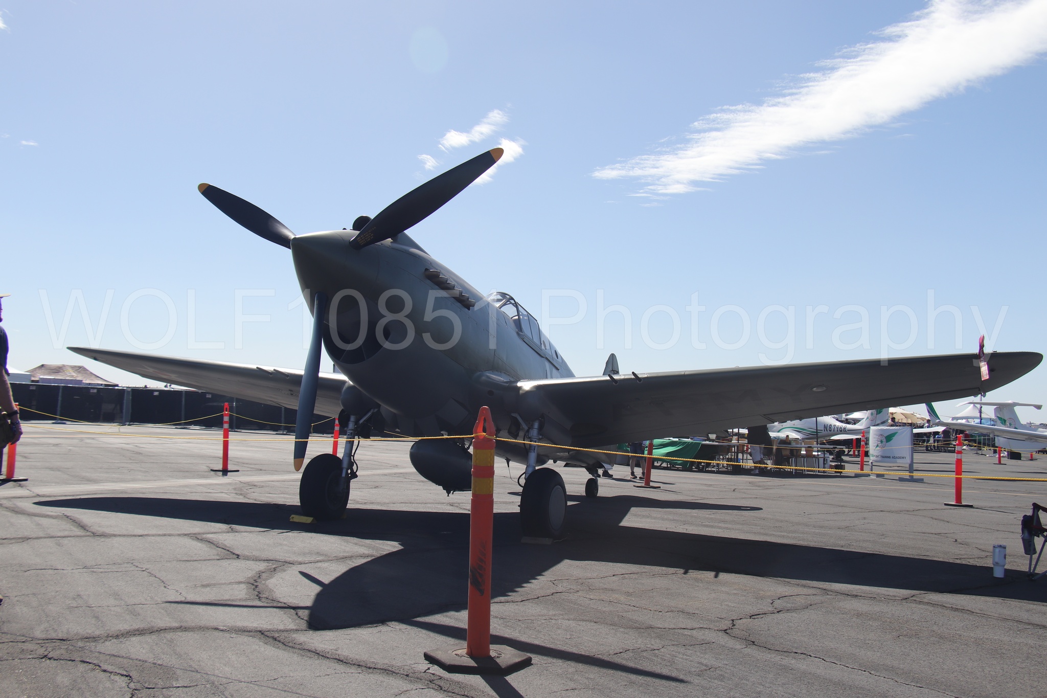 Curtis P-40 Warhawk | WOLF10851 Photography