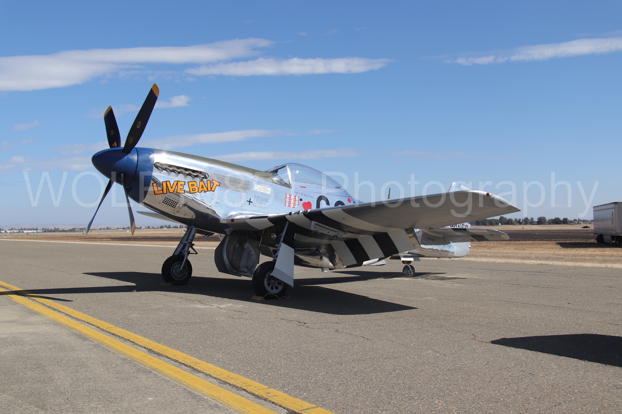 P-51 Mustang | Live Bait | WOLF10851 Photography