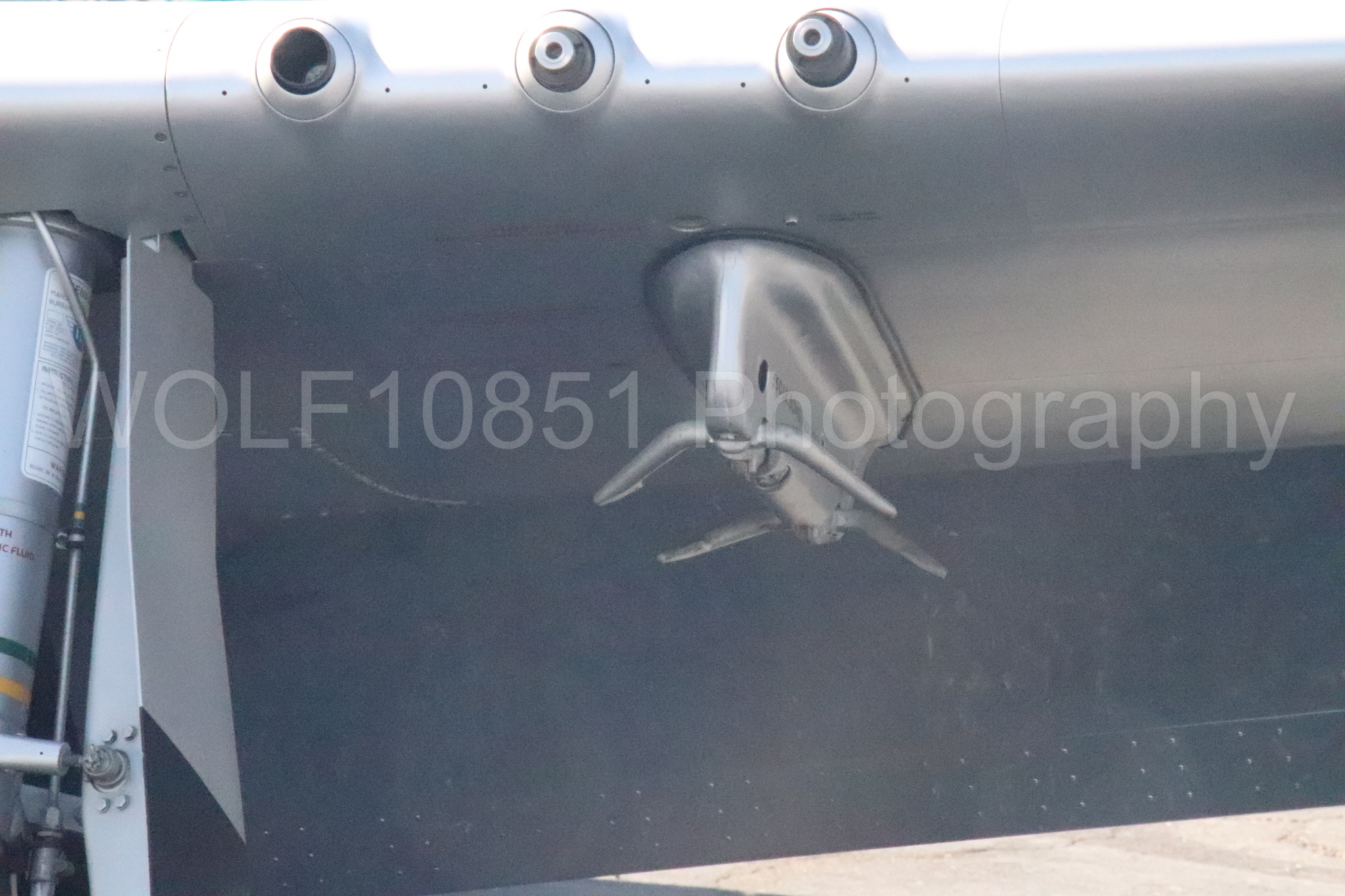 P-51 Mustang | WOLF10851 Photography