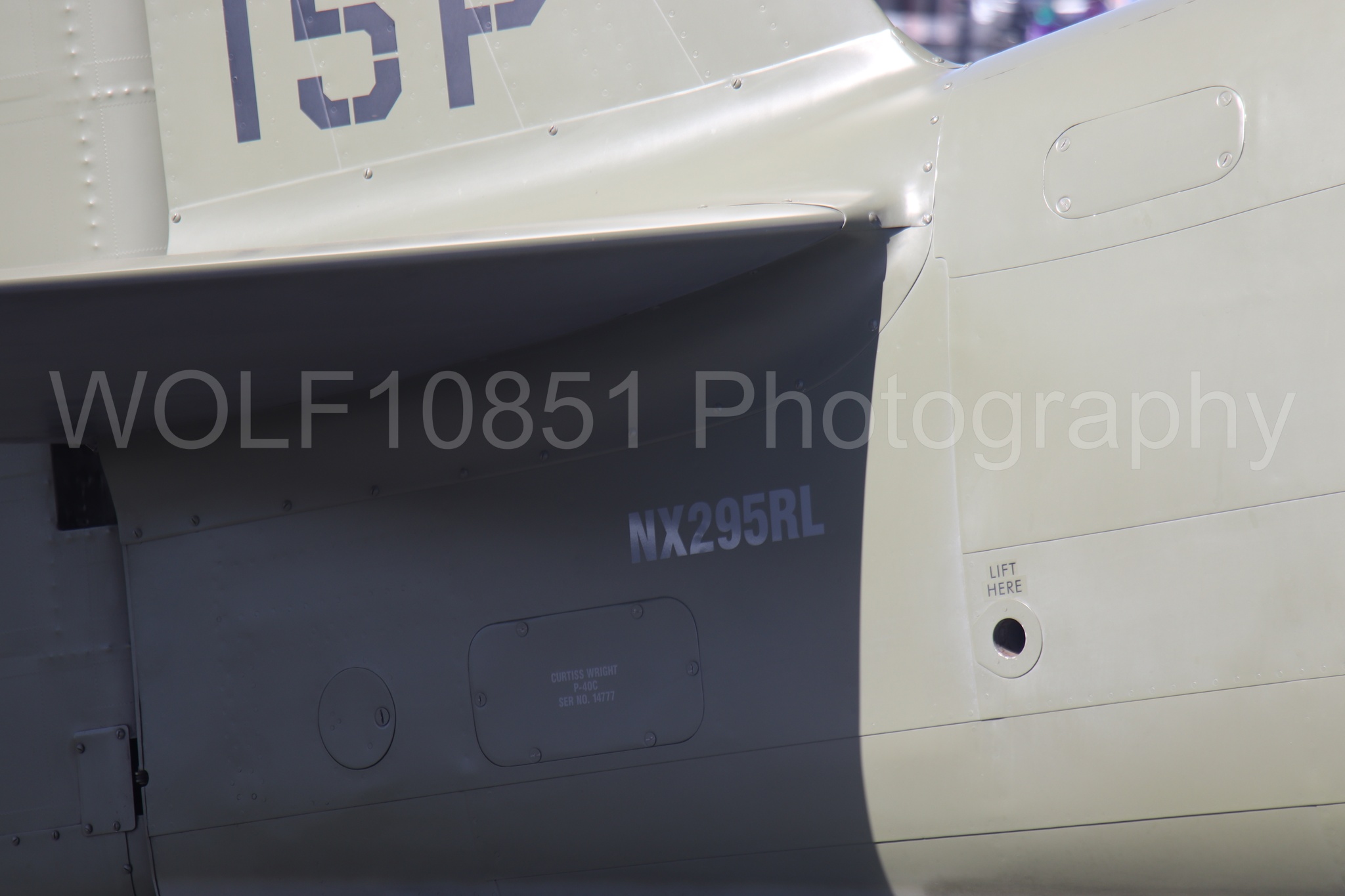Curtis P-40 Warhawk | WOLF10851 Photography