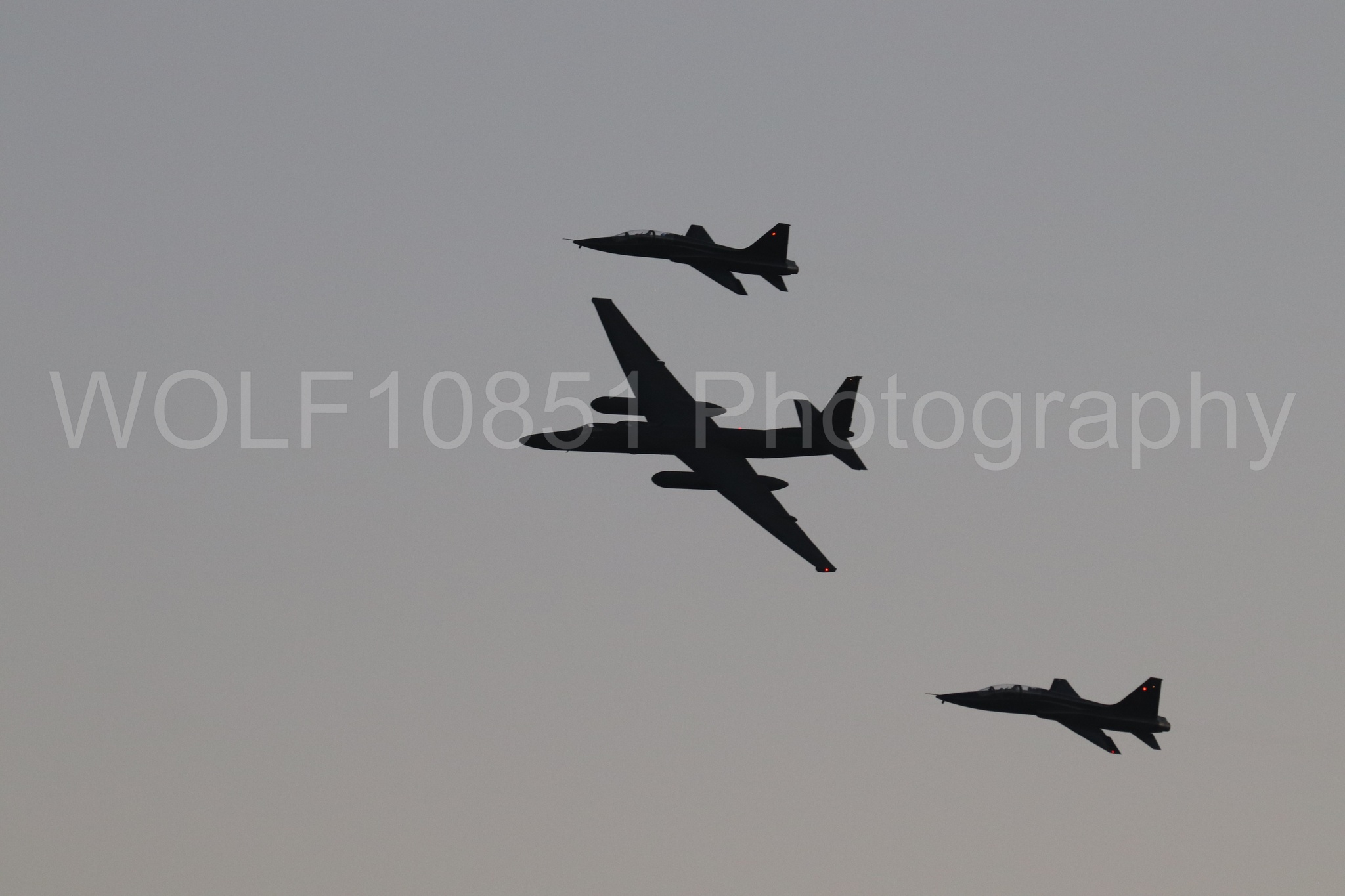 T-38 Talon | WOLF10851 Photography