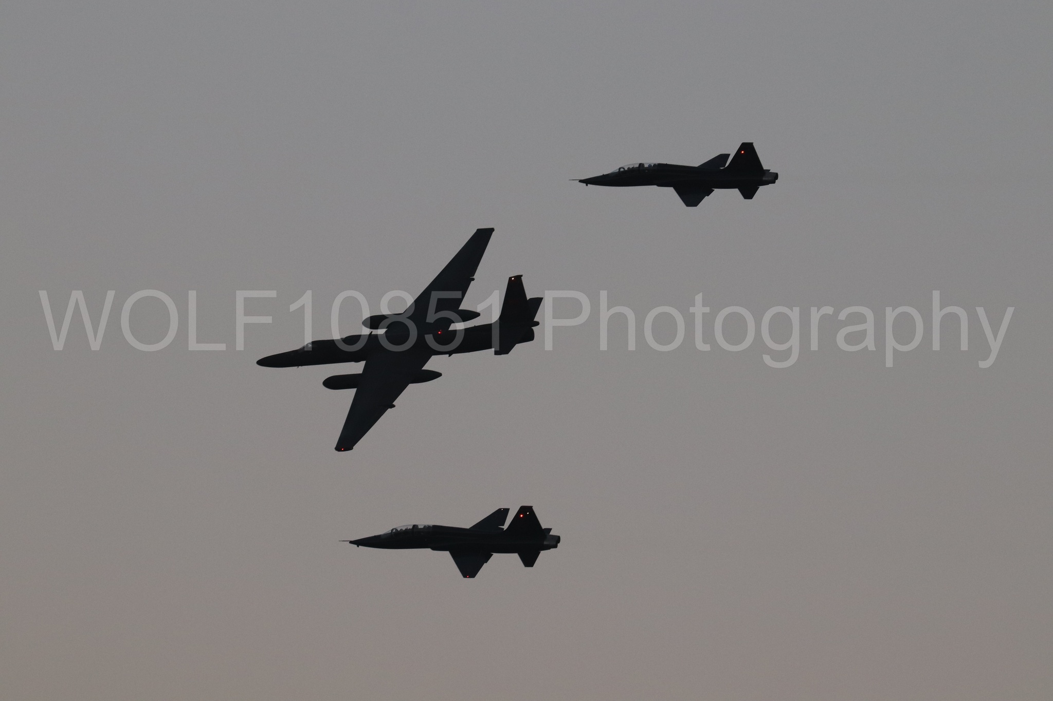 T-38 Talon | WOLF10851 Photography