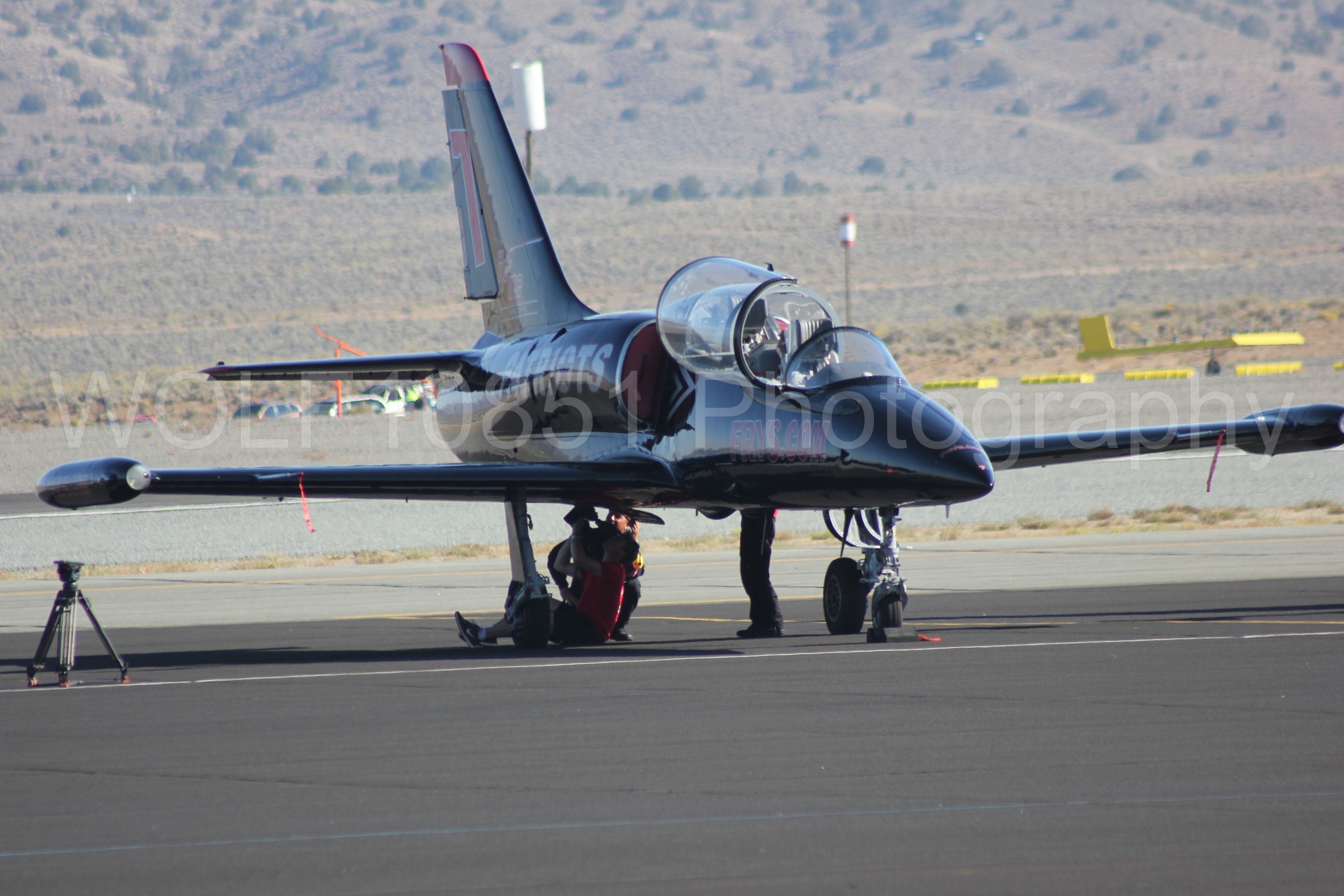 Aviation photography by WOLF10851 featuring L-39 Albatros, Reno Air Races 2013.