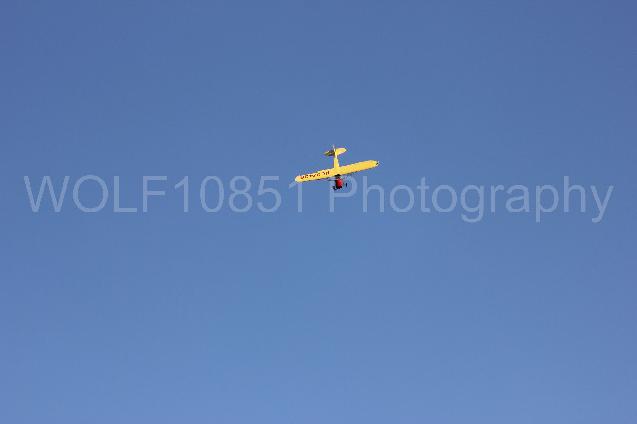Aviation photography by WOLF10851 featuring Kent Pietsch, Interstate Cadet, Jelly Belly.