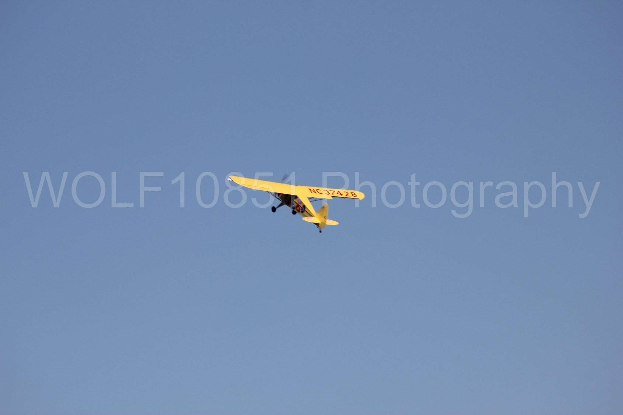 Aviation photography by WOLF10851 featuring Kent Pietsch, Interstate Cadet, Jelly Belly.