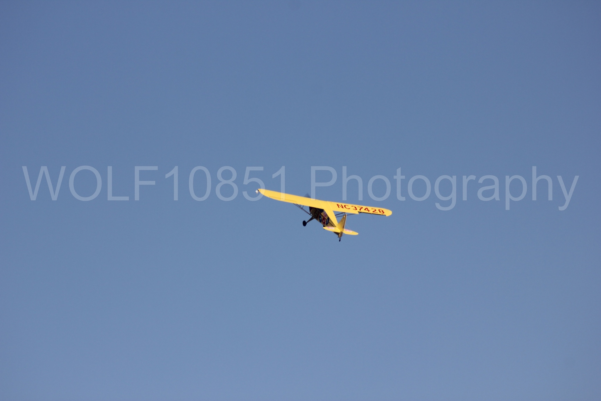 Aviation photography by WOLF10851 featuring Kent Pietsch, Interstate Cadet, Jelly Belly.