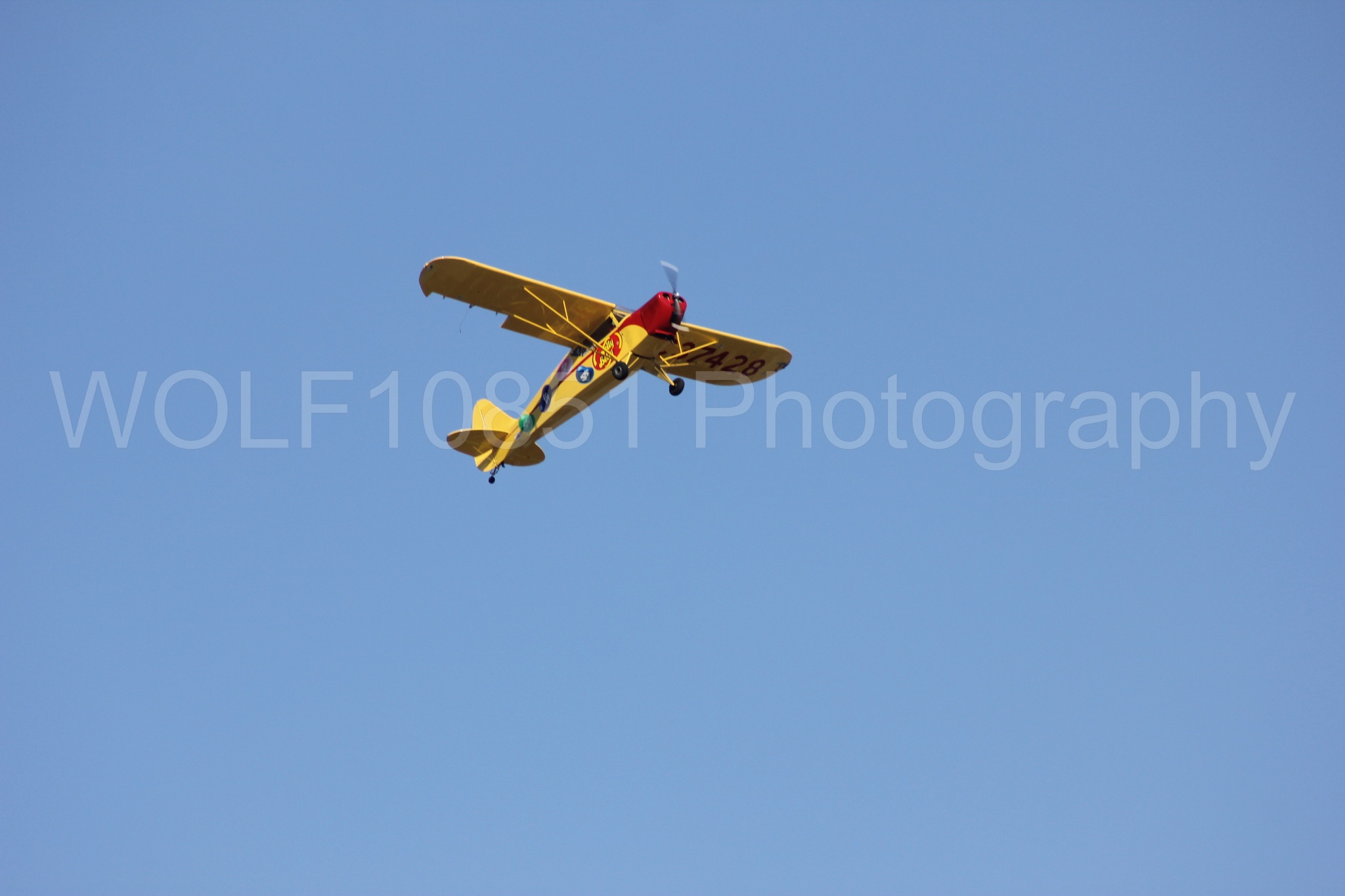 Aviation photography by WOLF10851 featuring Kent Pietsch, Interstate Cadet, Jelly Belly, Reno Air Races 2013.