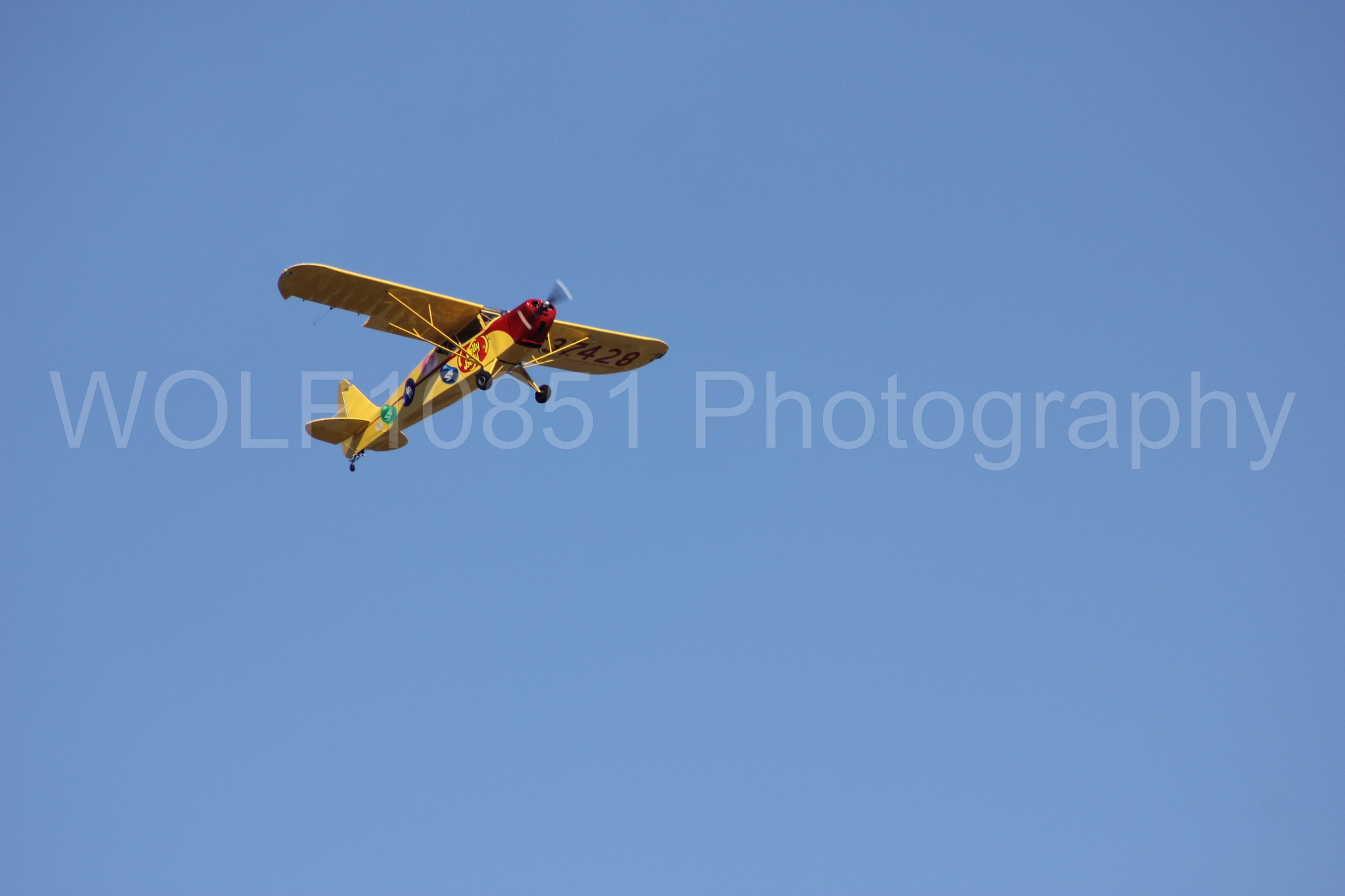 Aviation photography by WOLF10851 featuring Kent Pietsch, Interstate Cadet, Jelly Belly, Reno Air Races 2013.