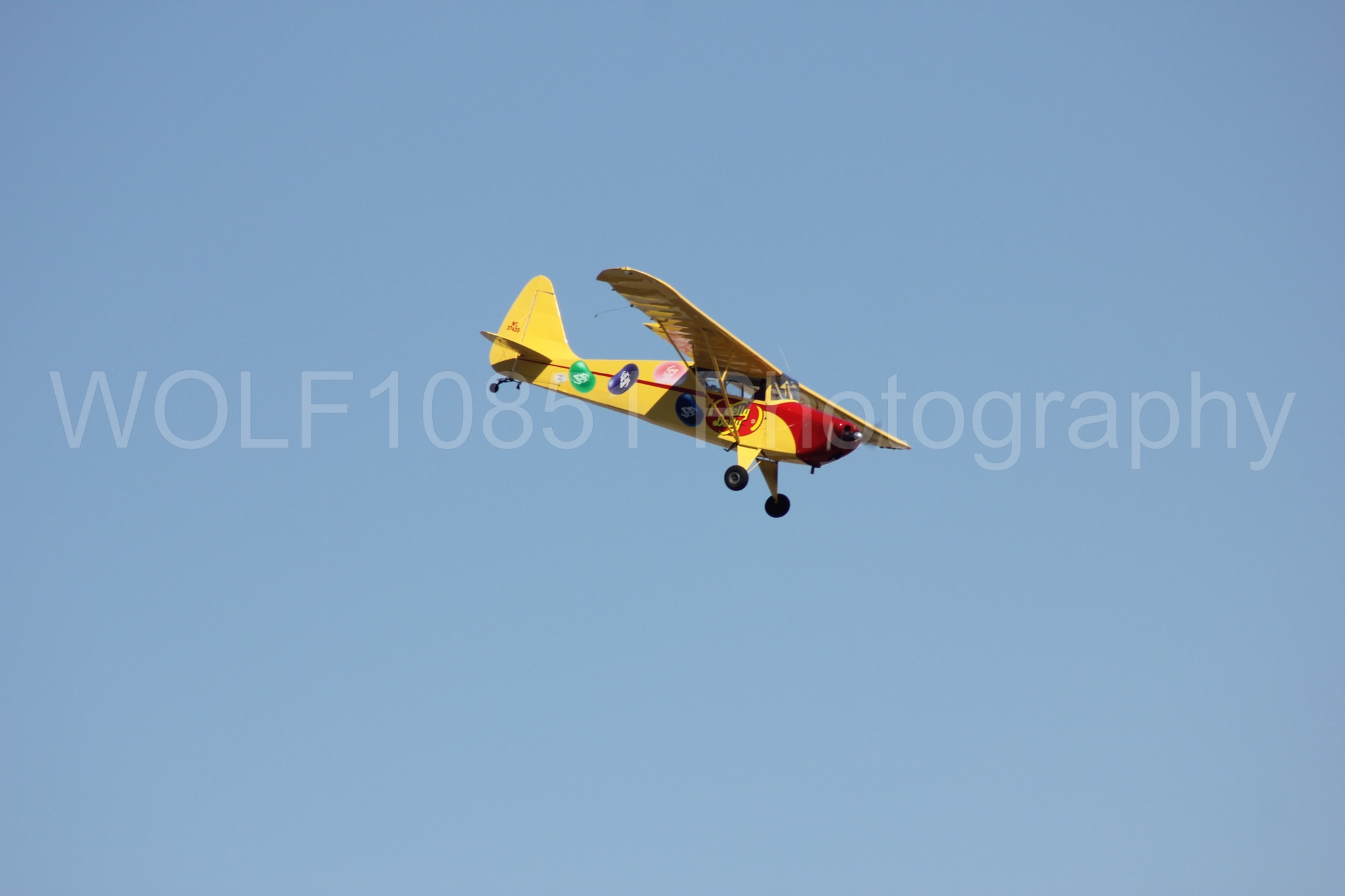 Aviation photography by WOLF10851 featuring Kent Pietsch, Interstate Cadet, Jelly Belly, Reno Air Races 2013.