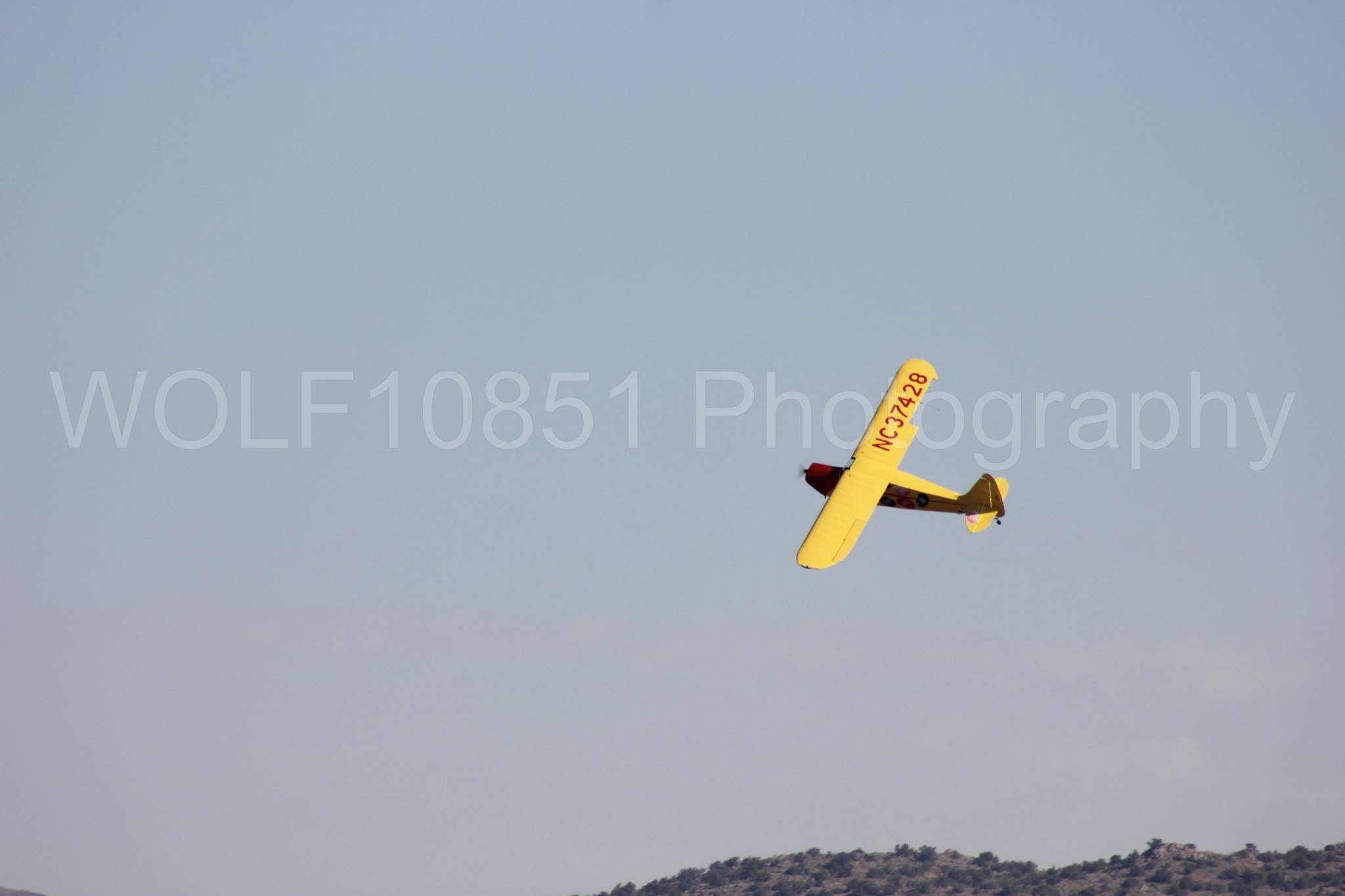 Aviation photography by WOLF10851 featuring Kent Pietsch, Interstate Cadet, Jelly Belly, Reno Air Races 2013.
