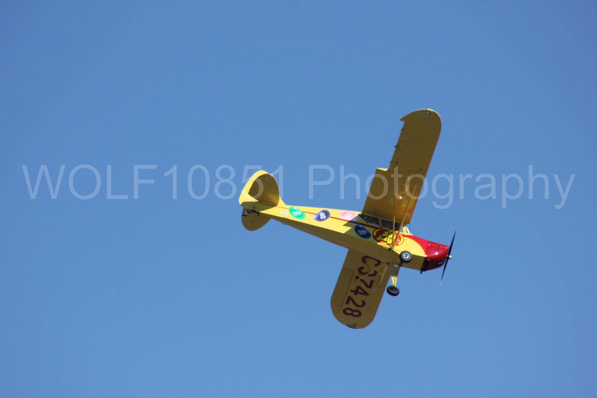 Aviation photography by WOLF10851 featuring Kent Pietsch, Interstate Cadet, Jelly Belly, Reno Air Races 2013.