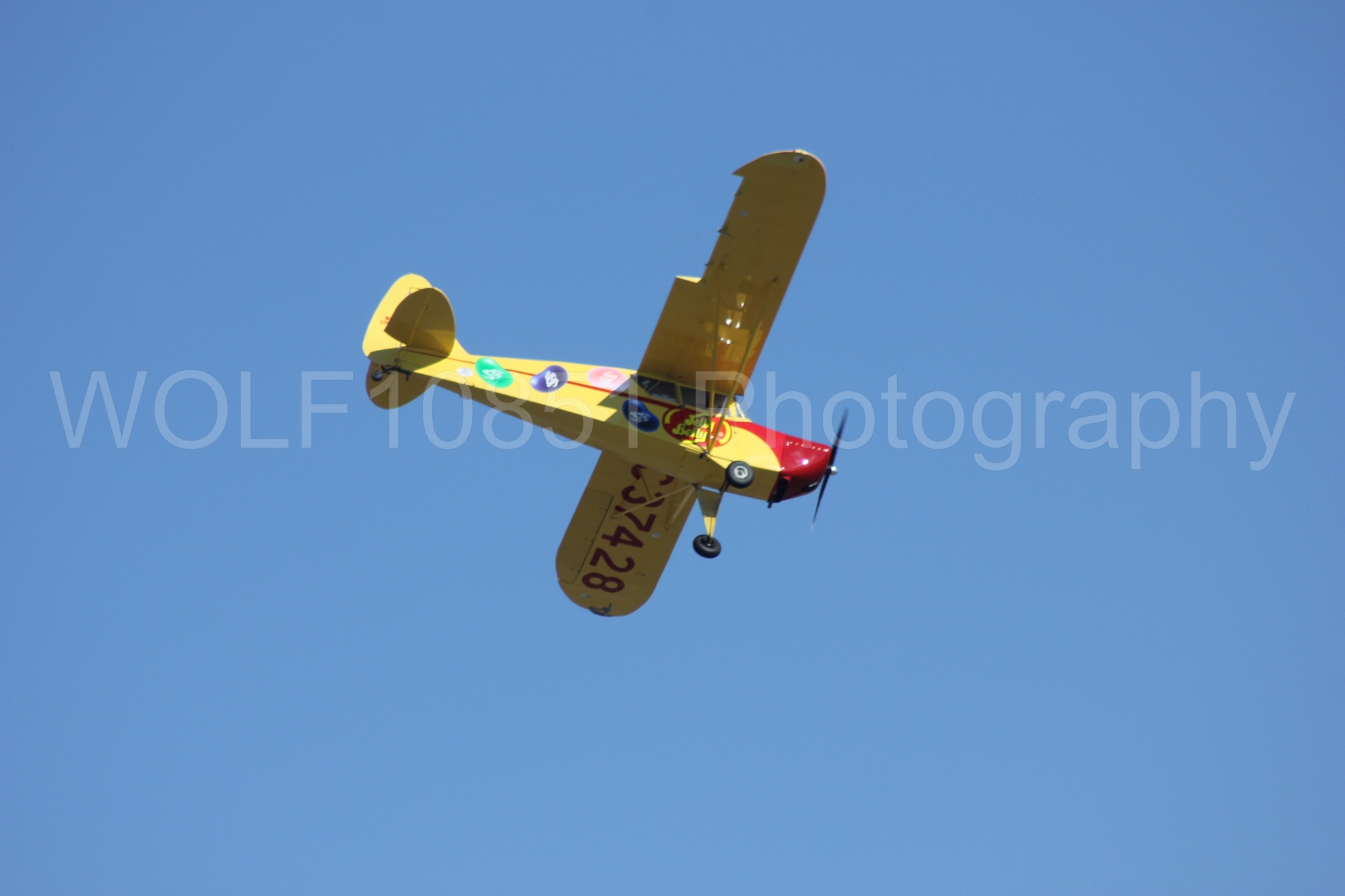 Aviation photography by WOLF10851 featuring Kent Pietsch, Interstate Cadet, Jelly Belly, Reno Air Races 2013.