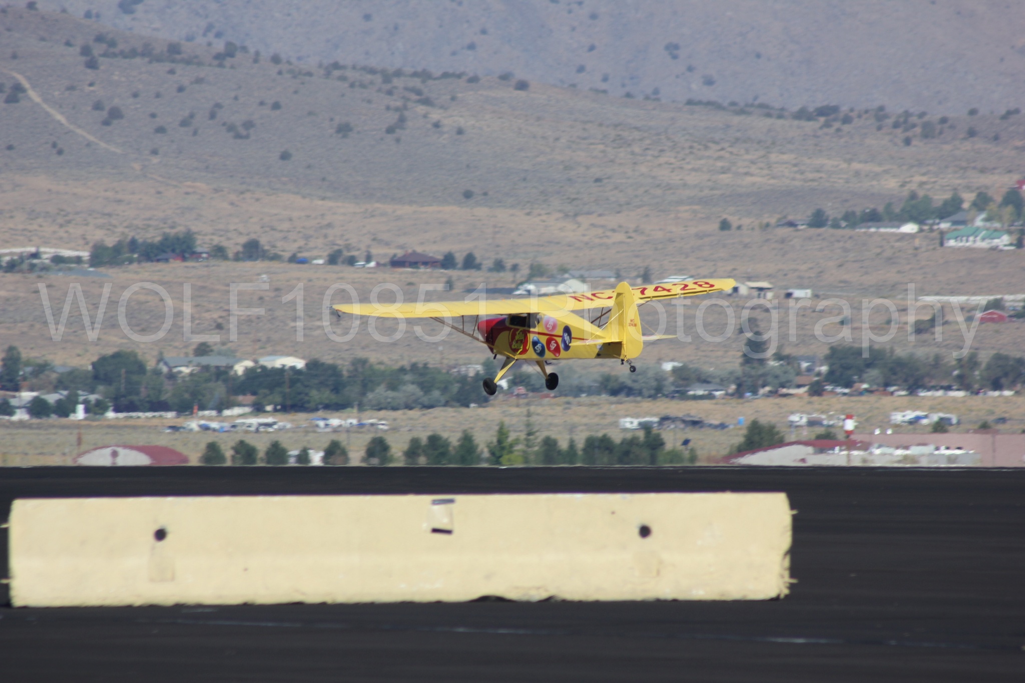 Aviation photography by WOLF10851 featuring Kent Pietsch, Interstate Cadet, Jelly Belly, Reno Air Races 2013.
