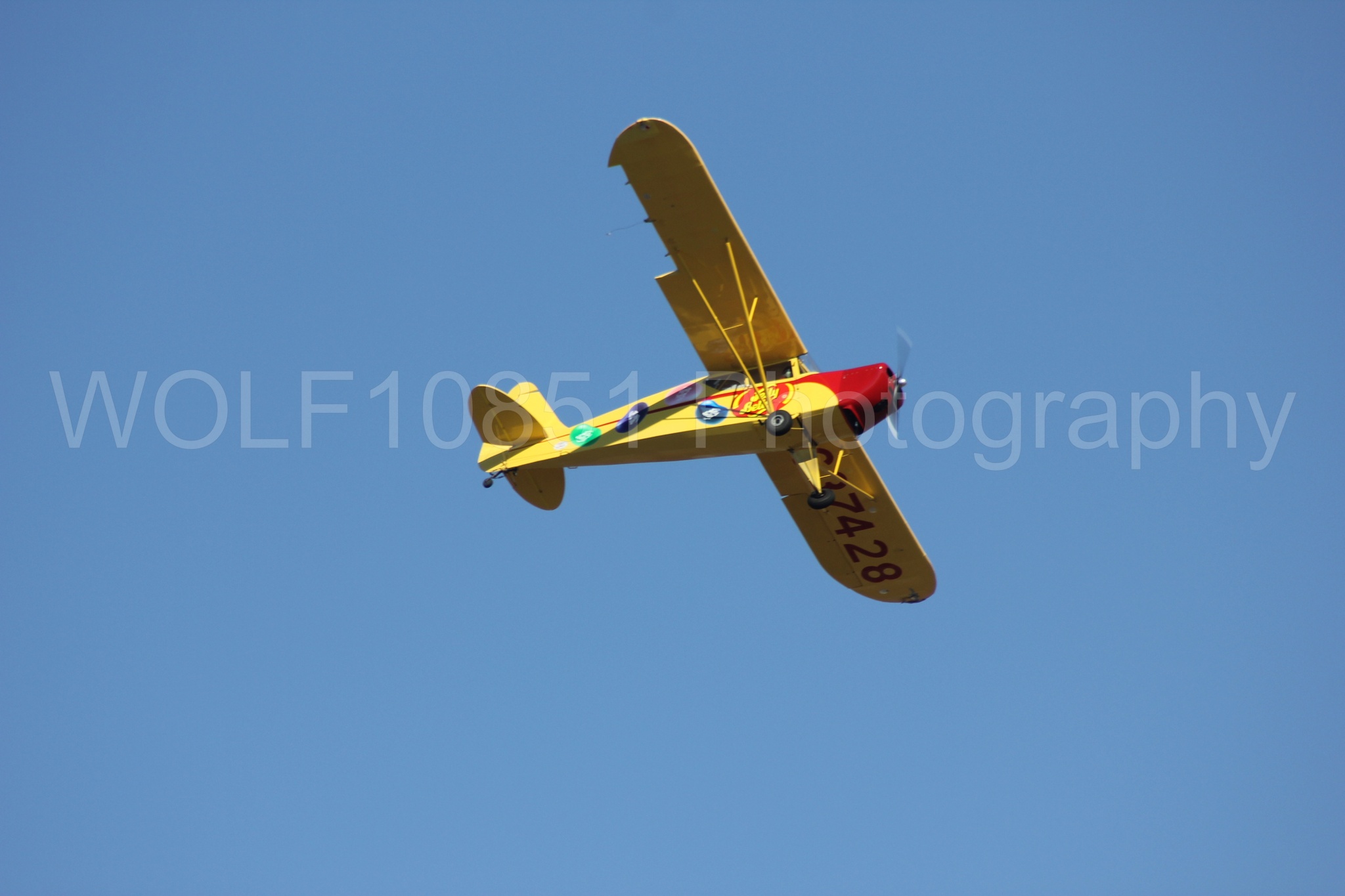 Aviation photography by WOLF10851 featuring Kent Pietsch, Interstate Cadet, Jelly Belly, Reno Air Races 2013.
