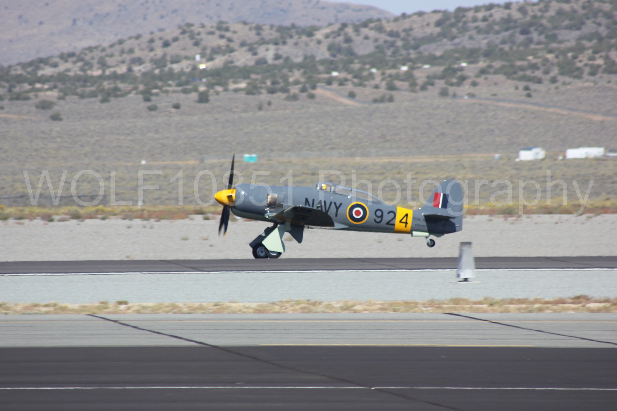 Aviation photography by WOLF10851 featuring Hawker Sea Fury FB-11, Reno Air Races 2013.